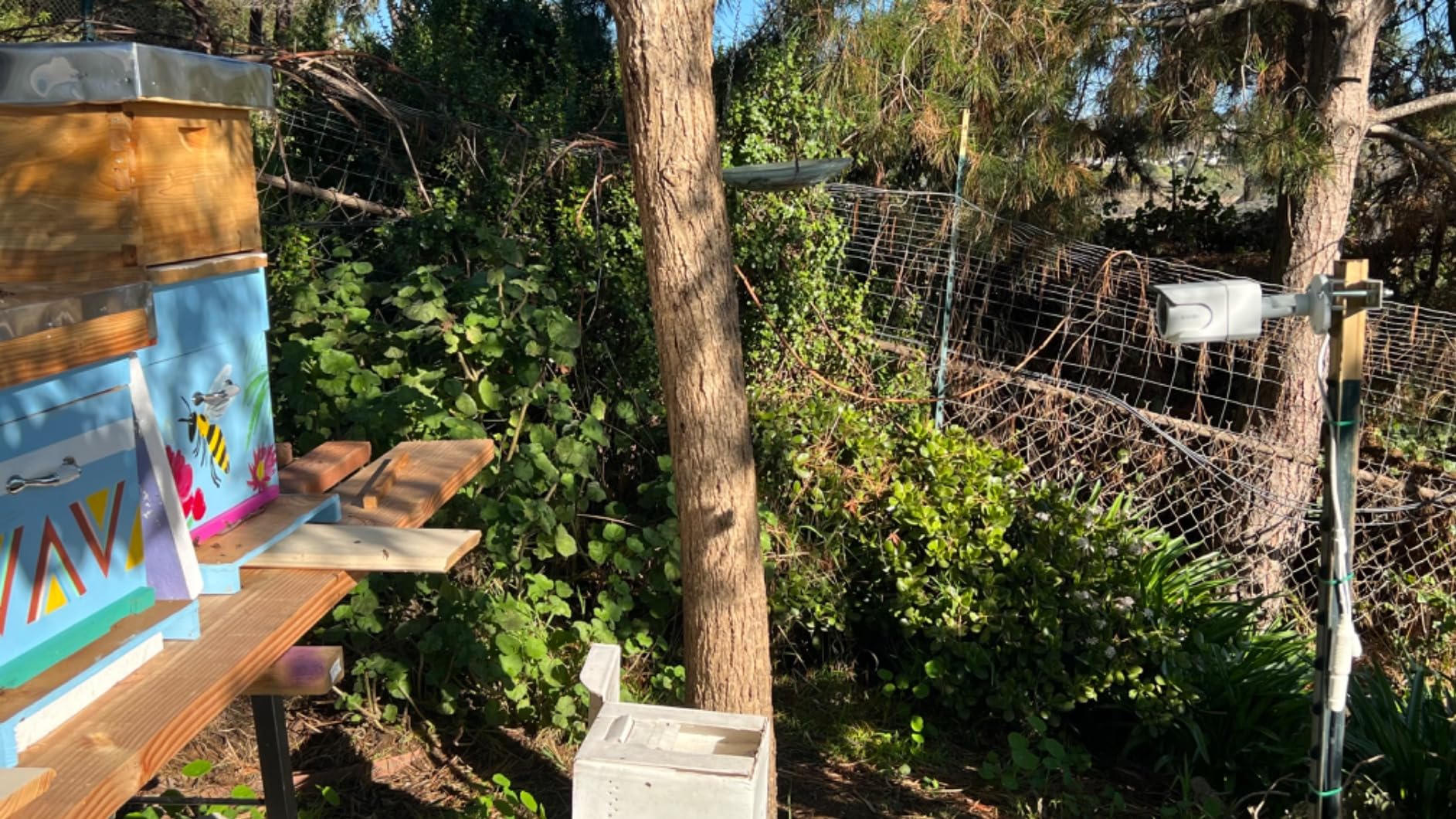 ZOSI 4K PoE Security Camera System, Person Vehicle Detection, 8 Port 16CH 8MP NVR with 2TB HDD, 4pcs 4K Outdoor Indoor PoE IP Cameras, 2 Way Audio, Spotlight Siren, Color Night Vision, for 24/7 Recording customer photo 1