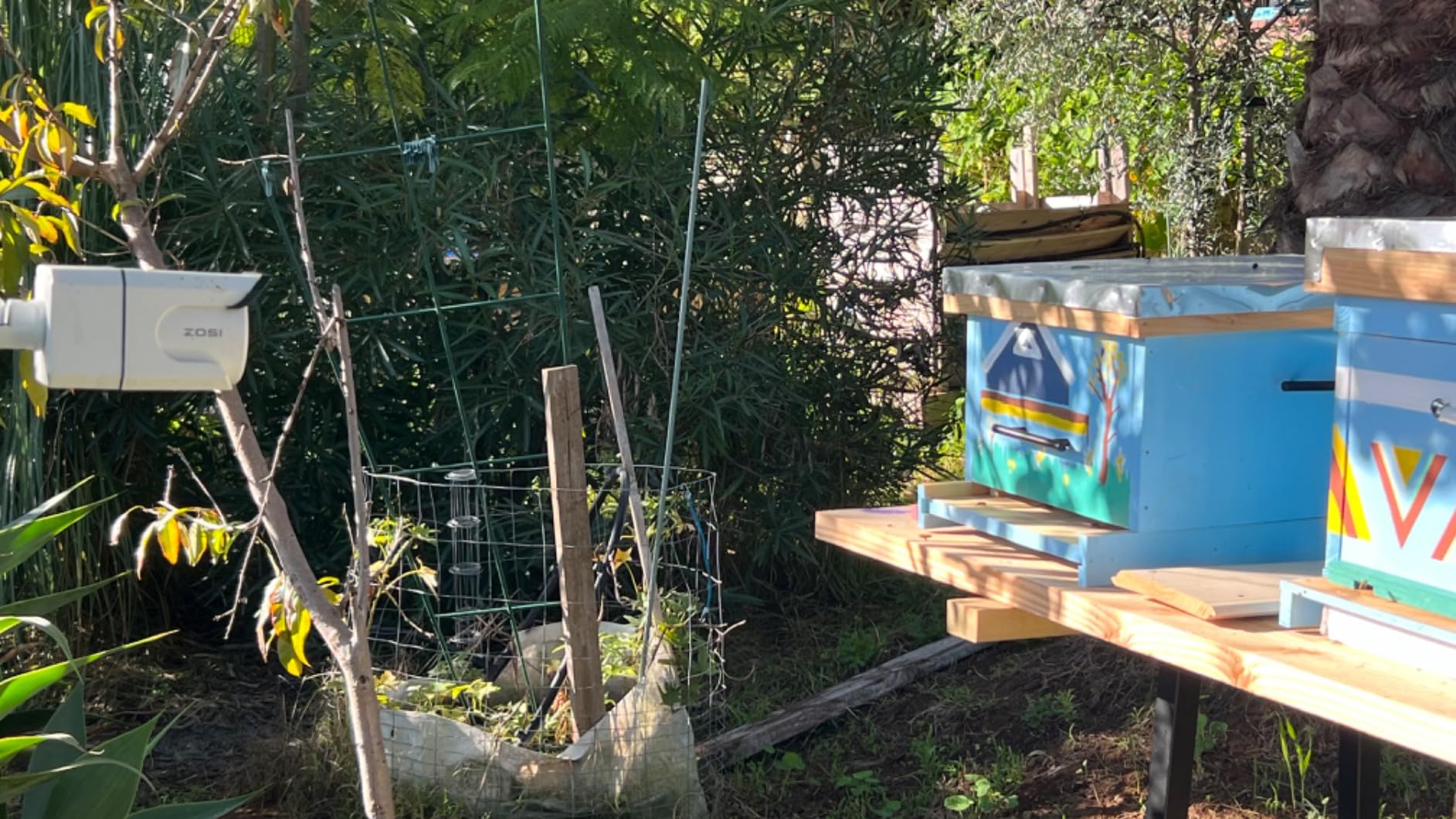 ZOSI 4K PoE Security Camera System, Person Vehicle Detection, 8 Port 16CH 8MP NVR with 2TB HDD, 4pcs 4K Outdoor Indoor PoE IP Cameras, 2 Way Audio, Spotlight Siren, Color Night Vision, for 24/7 Recording customer photo 2