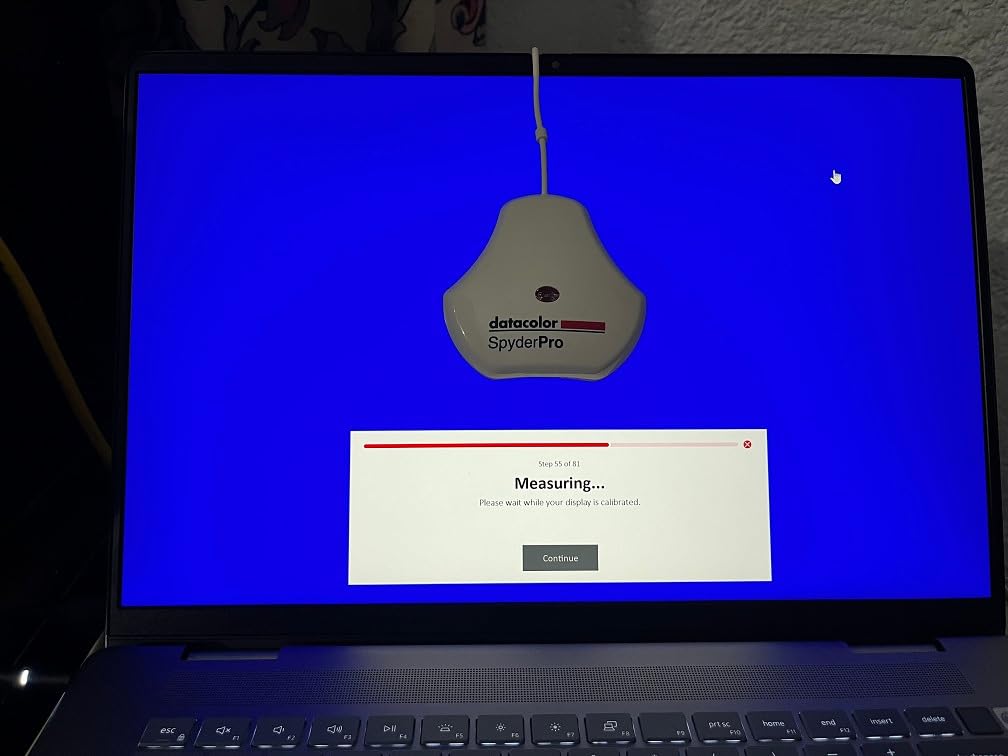 SpyderPro Monitor Calibration Tool: Ensures Accurate Color When Viewing and Editing Photos & Videos customer photo 1
