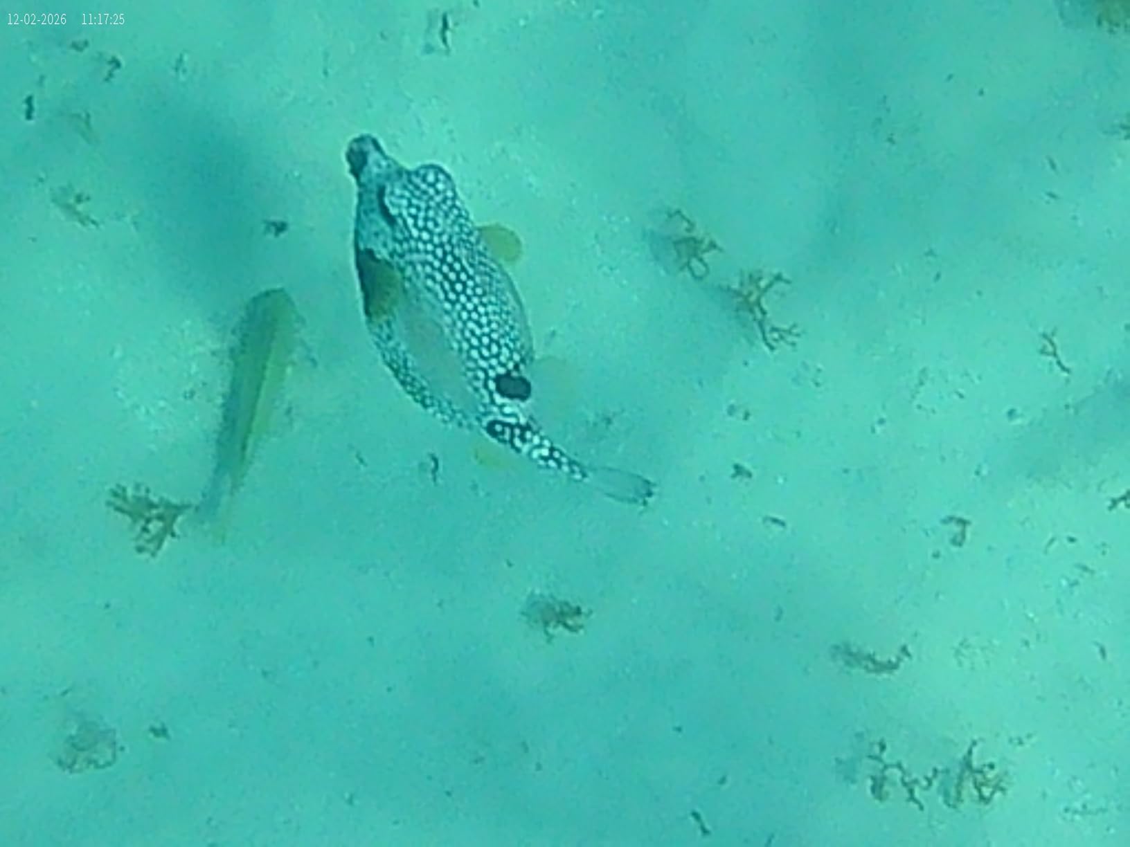 4K 60FPS Action Camera with 64GB Card-48MP Waterproof Camera,40M Underwater Camera,8X Zoom,EIS Stabilization,WiFi,Remote Control,MotorcycleCamera with 2 Rechargeable Batteries customer photo 1