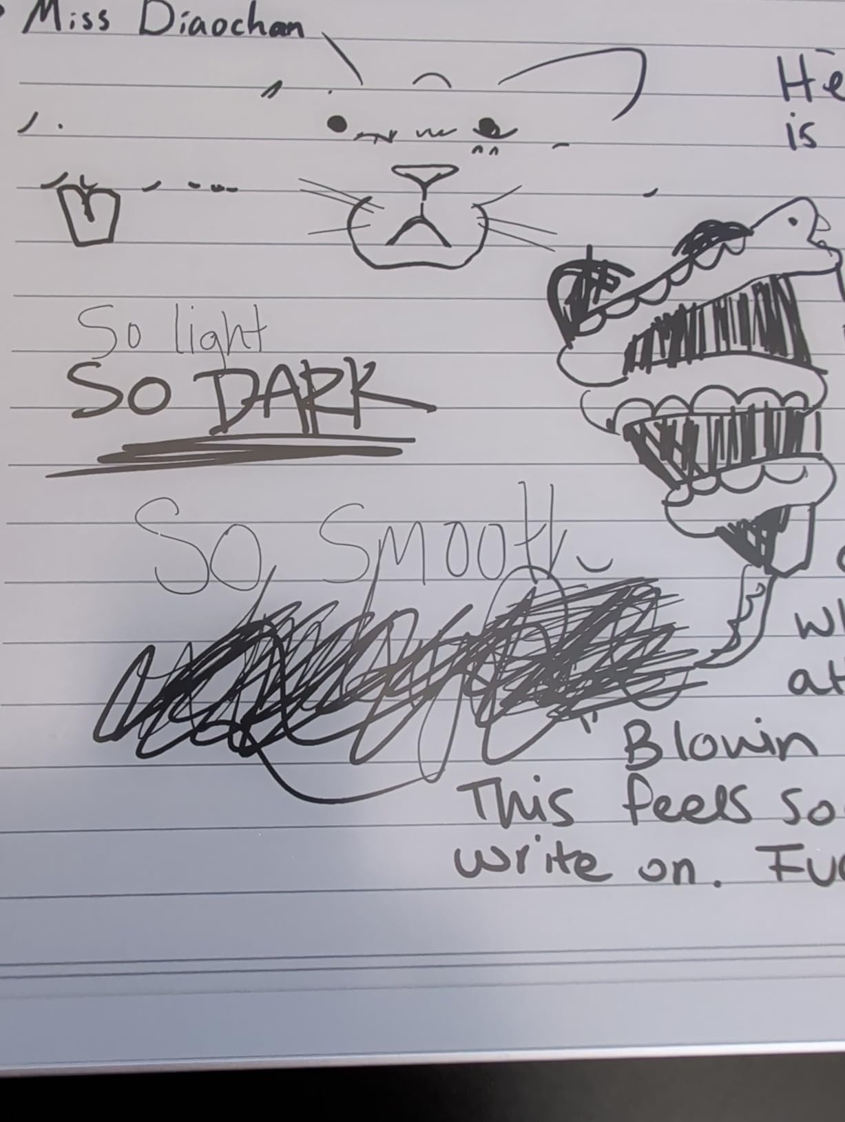 BOOX Tablet Note Max 13.3 No Frontlight B/W ePaper Notebook 300 PPI 6G 128G customer photo 2