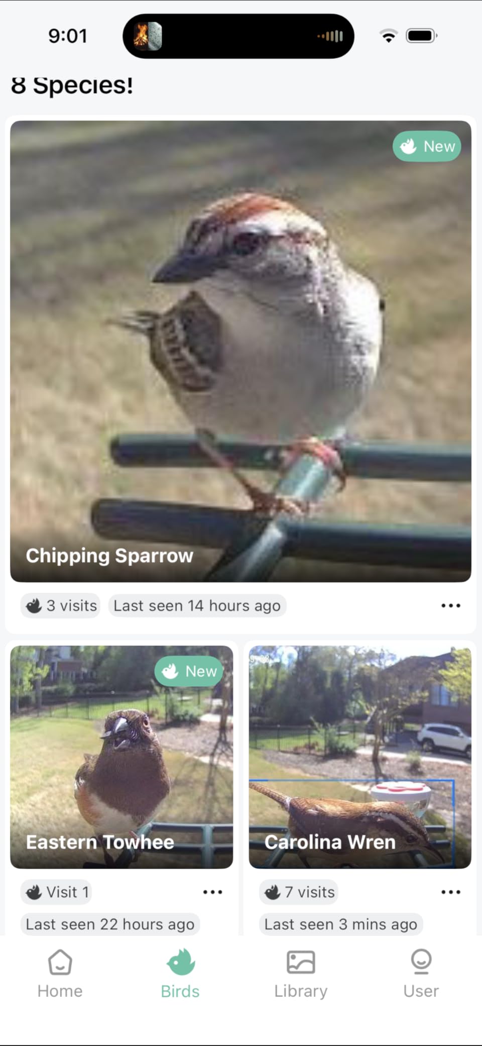 Smart Bird Feeder with Camera Solar Powered, 2K HD Video, AI Bird Species Identification, Instant Arrival Alerts, Weatherproof Design for Effortless Birdwatching, Best Gift for BirdLovers, Red customer photo 1