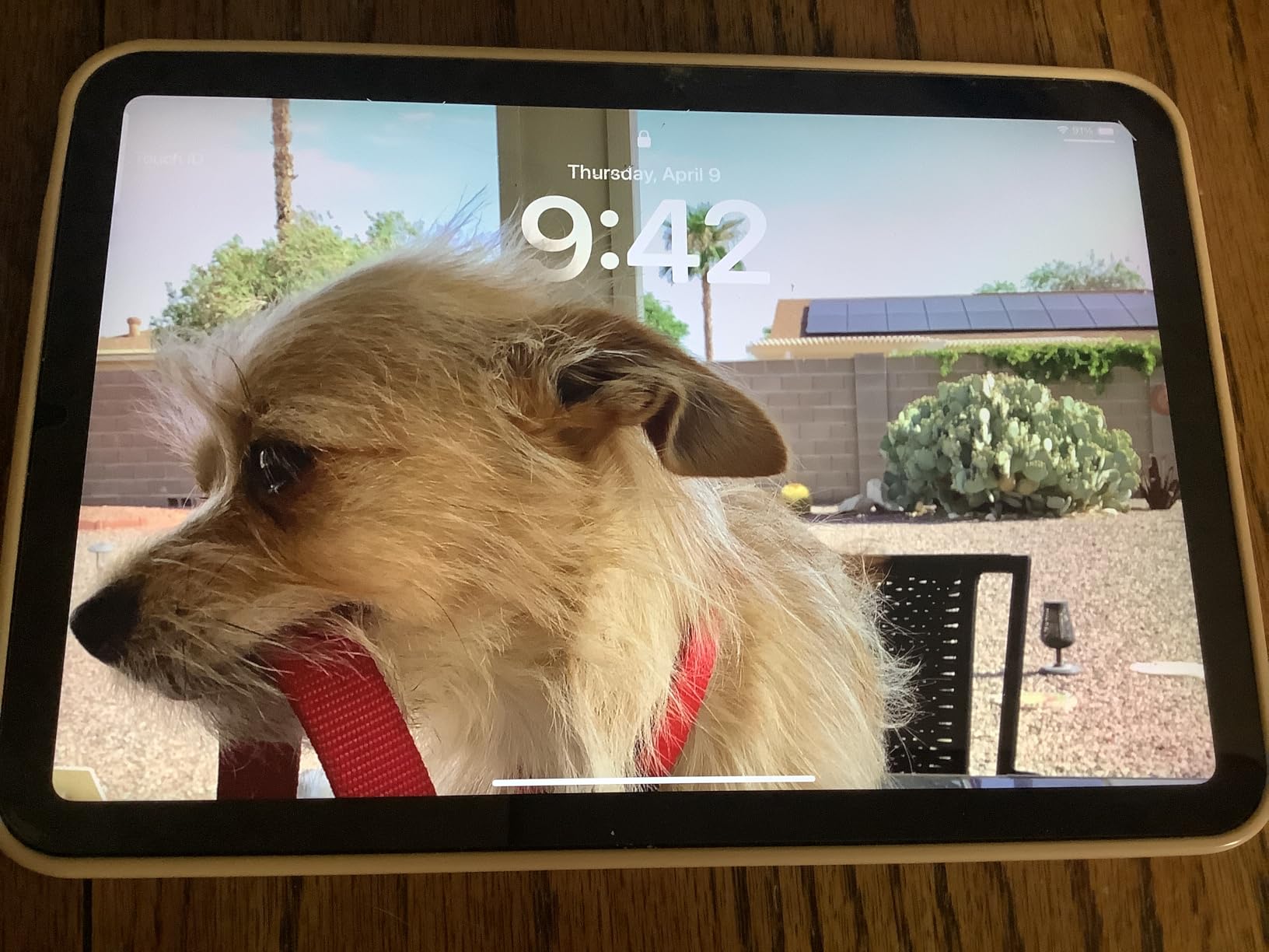 PAPERSENSE Matte Screen Protector for iPad A16 11th 11 Inch 2025/10th Gen 10.9 Inch 2022, Paper-layer Tempered Glass with Easy Dust-free Install Tray, Apple Pencil Support, Anti-glare, 2 Pack customer photo 1