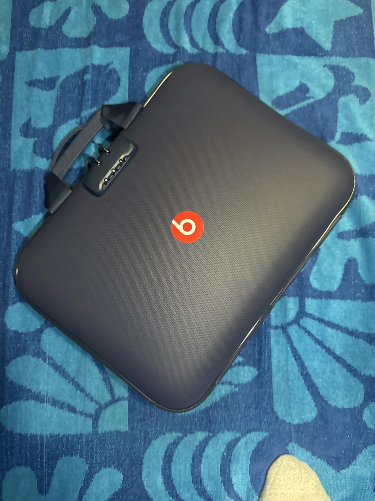 DocSafe Fireproof File Organizer with Lock, Hard-Shell Case Fireproof Document Box with 13 Pocket Accordion File Folder customer photo 2