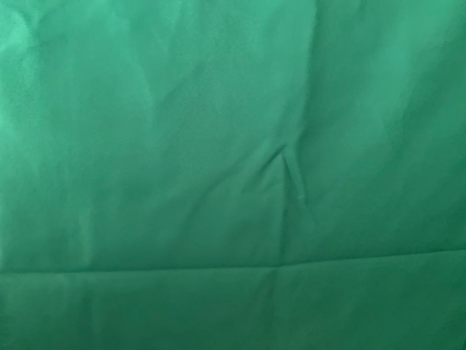 UTEBIT Green Screen Backdrop, 3.3X5 ft Photography Chroma Key Greenscreen Background Sheet for Background Removal, Thick Polyester Fabric Cloth Sheet for Photoshoot Video, Live Streaming customer photo 1