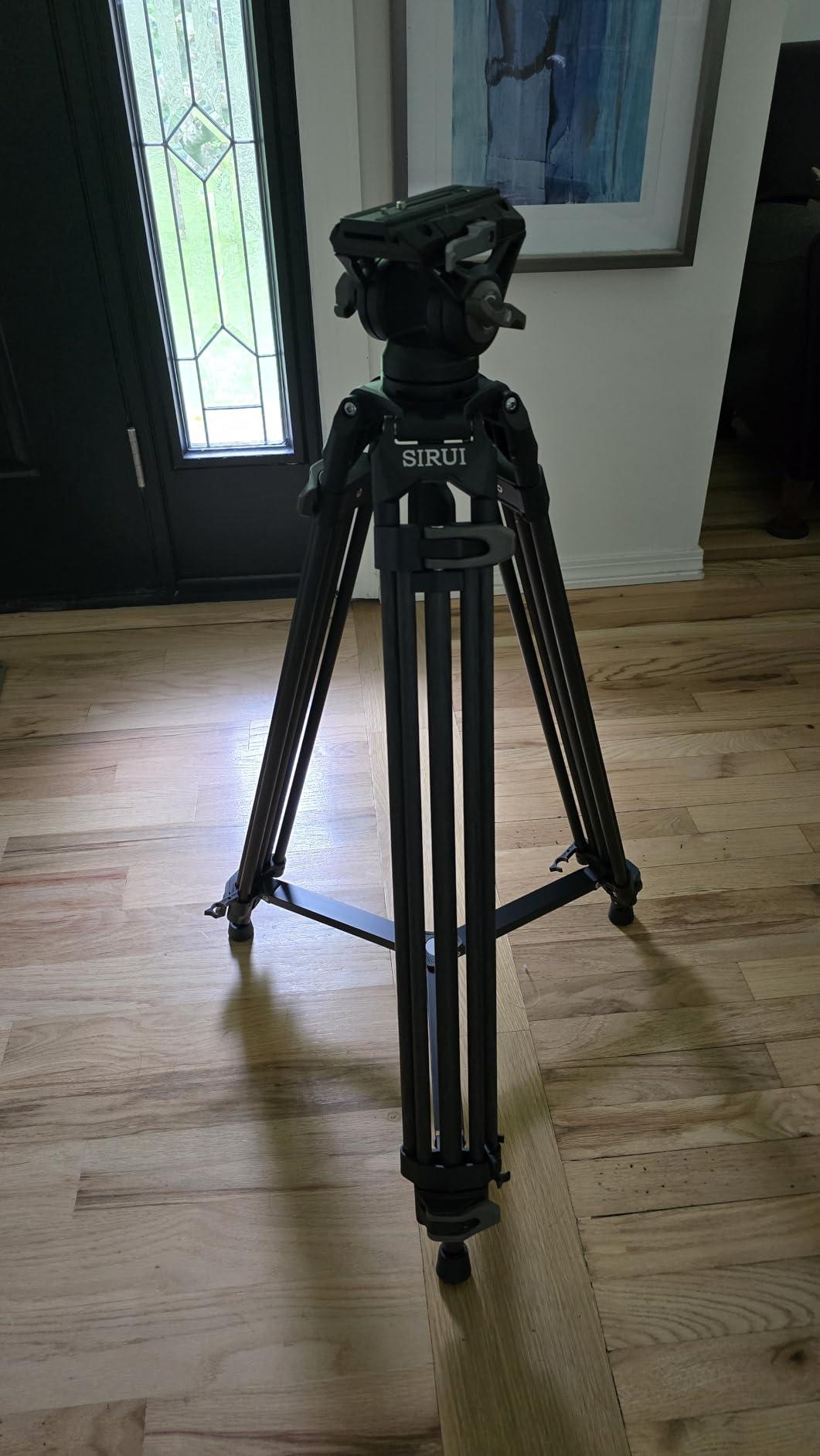 SIRUI Quick Release Carbon Fiber Video Tripod, 73