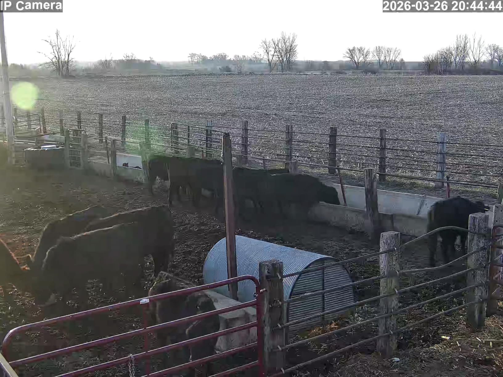 4K PTZ Security Camera Outdoor with 50X Optical Zoom, High-Speed 360° Pan & 90° Tilt, 8MP WiFi Camera with 1200FT IR Night Vision, Auto Tracking, Person/Vehicle/Pet Detection customer photo 2