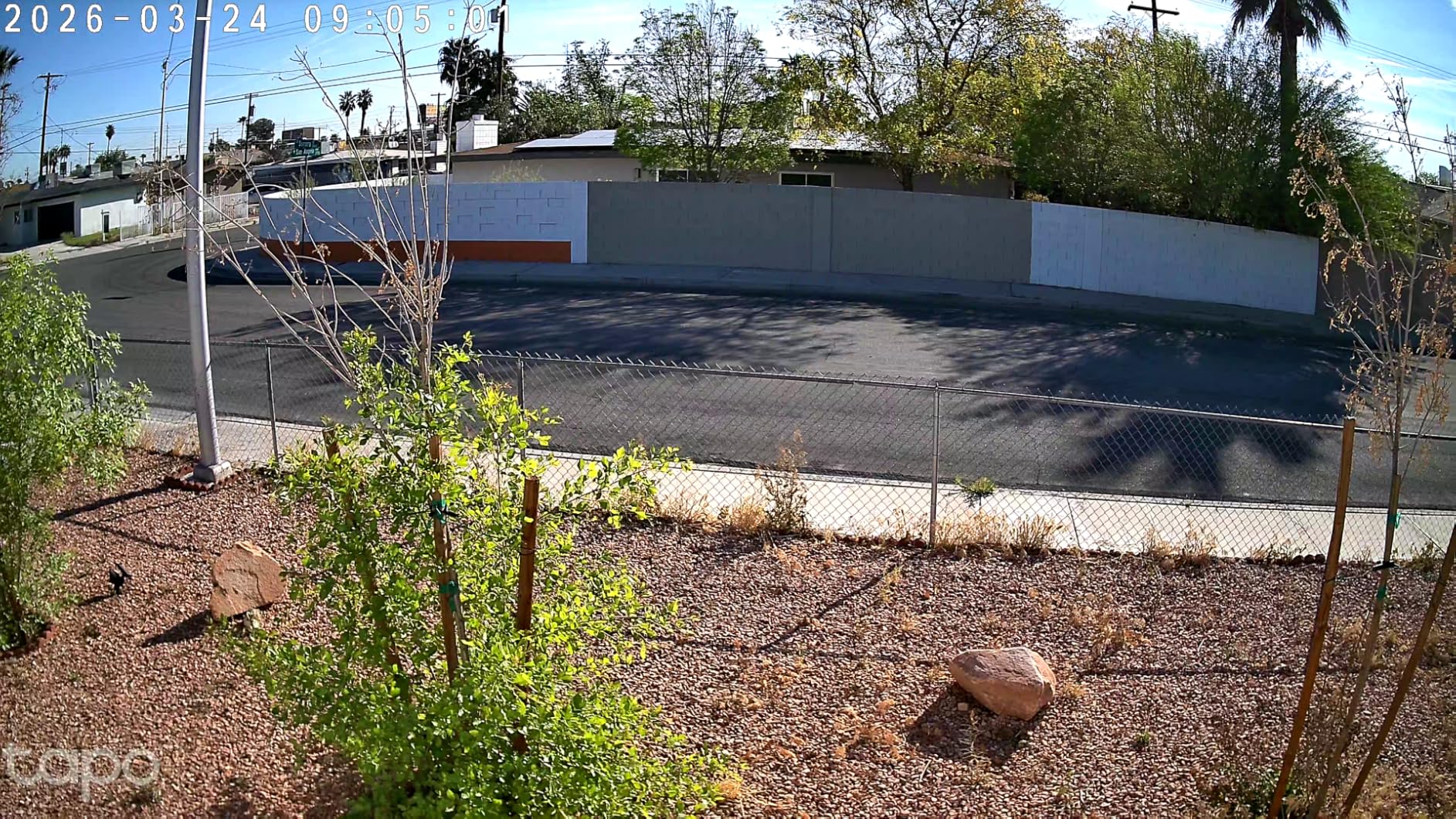 Tapo 4K 8MP Wired Pan/Tilt Outdoor Security Camera, Free Person/Vehicle Detect & 360° View, Color Night, Local AI, SD/Cloud Storage, Works w/Alexa & Google Assistant, 2.4 GHz WiFi C560WS customer photo 2