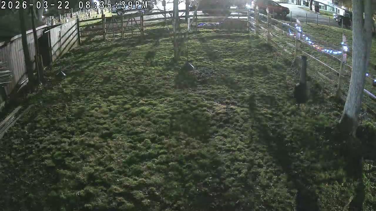 Tapo 4K Outdoor Pan/Tilt Wireless Security Camera - Battery with Solar Charging, 360° Motion Track, 24/7 Capture, Person/Vehicle Detection, Subscription-Free Local Storage or Optional Cloud, C660 KIT customer photo 1