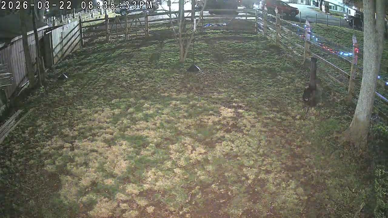 Tapo 4K Outdoor Pan/Tilt Wireless Security Camera - Battery with Solar Charging, 360° Motion Track, 24/7 Capture, Person/Vehicle Detection, Subscription-Free Local Storage or Optional Cloud, C660 KIT customer photo 2