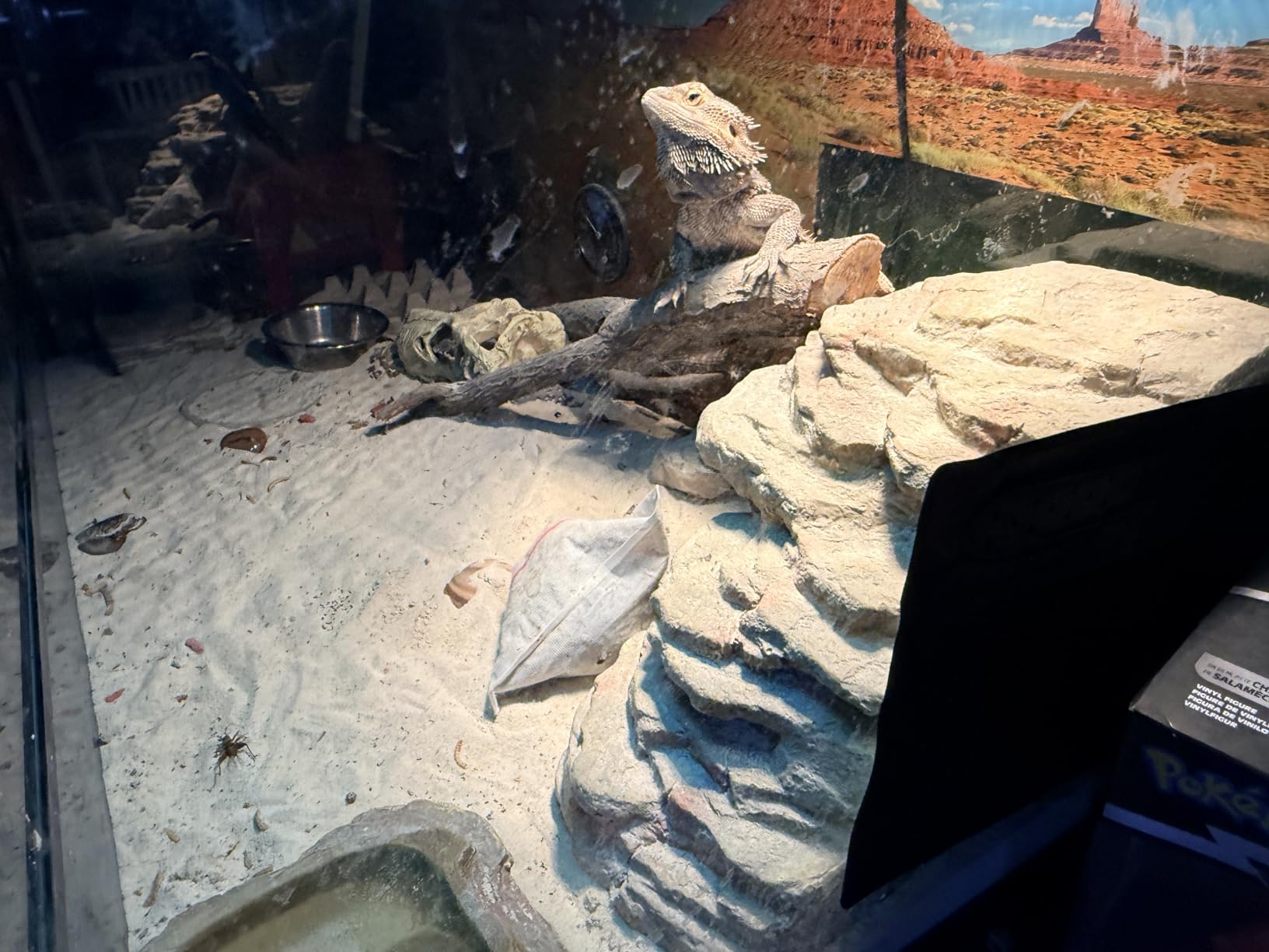 Military Grade Faraday Bags for Phones [5G/Bluetooth/WiFi/GPS] Signal Blocker, Fireproof Waterproof Anti-Scratch | Detachable Wrist Strap, RFID Blocking Anti-Tracking Pouch customer photo 2