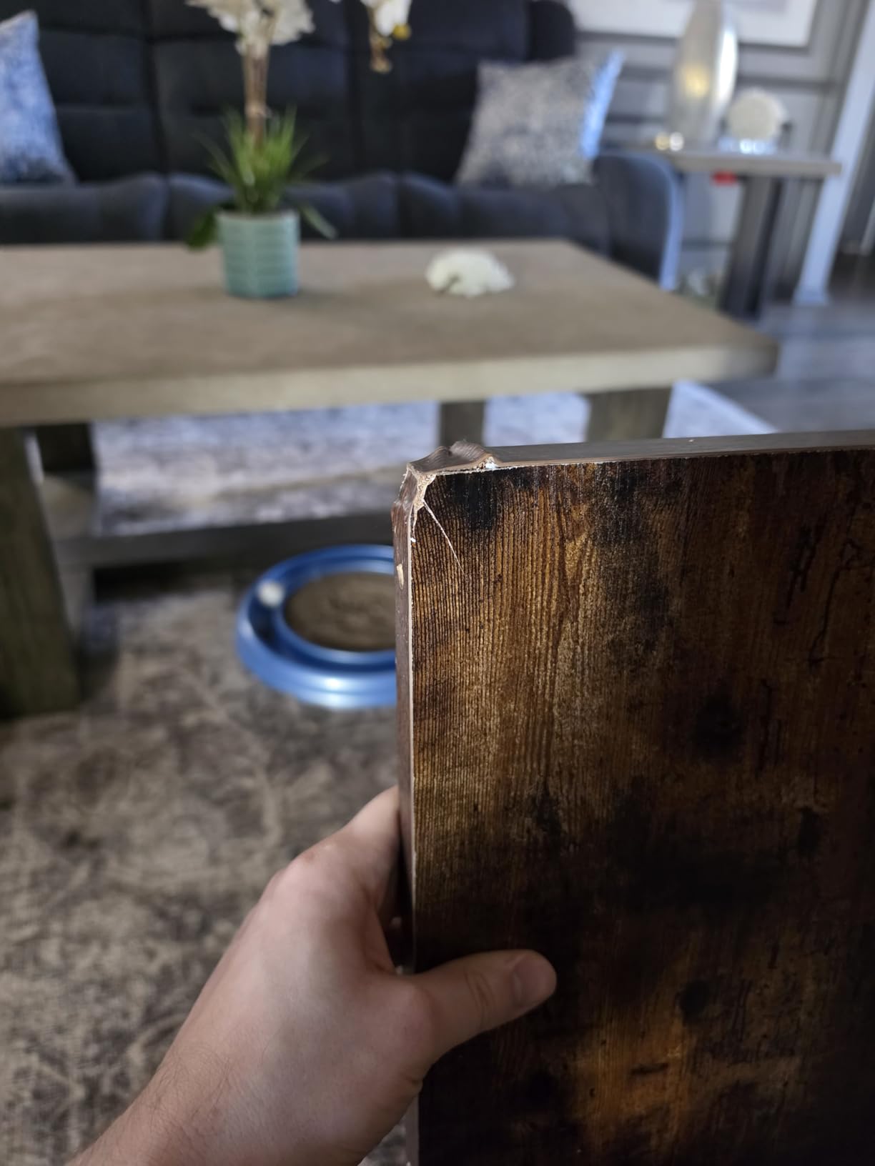 Electric Standing Desk Adjustable - 60x28 Inch Sit Stand Desk with 1 Inch Thick Tabletop, Double Beam Frame, 3 Memory Height Adjustment, Cable Management for Home Office customer photo 2