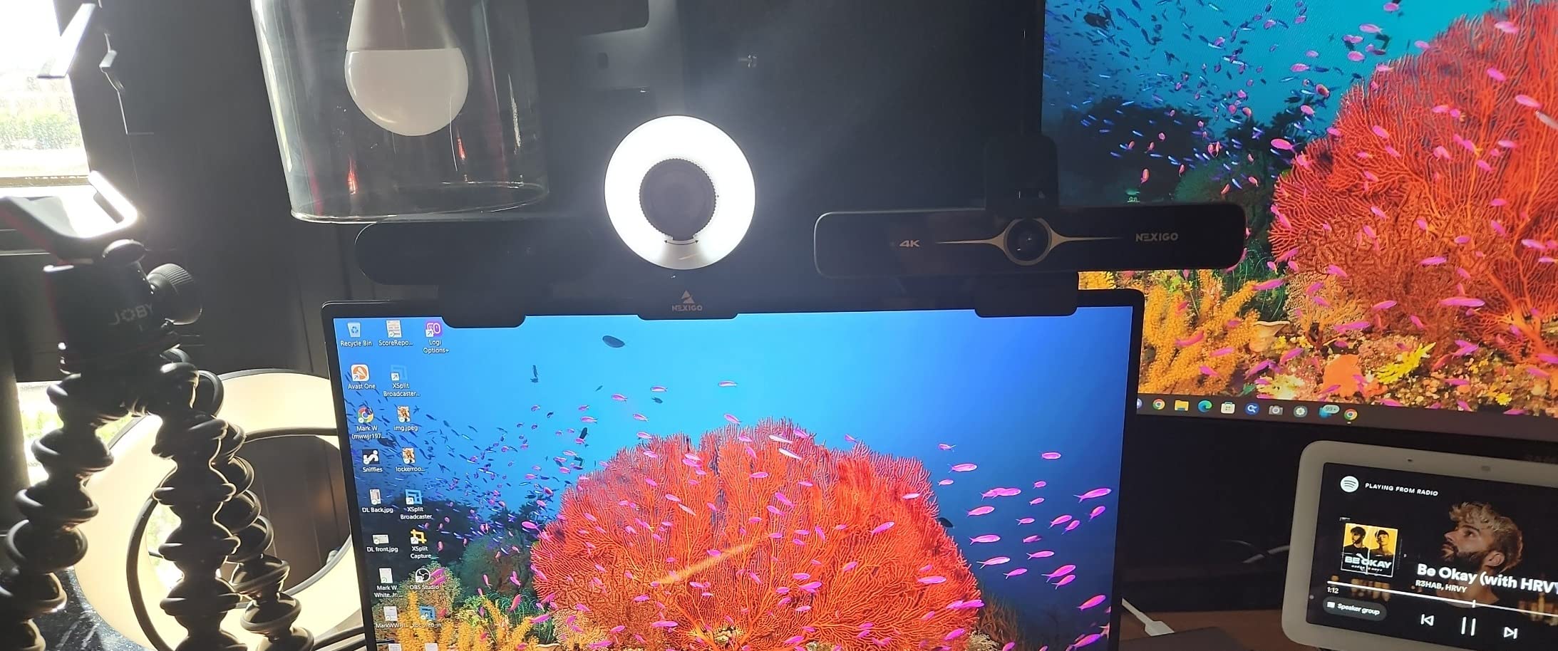 NexiGo N680E Pro 4K Webcam with Ring Light, PDAF Autofocus, 1080p 60FPS, Dual Noise-Canceling Mics, Privacy Shutter, USB Plug-and-Play for Zoom, Teams, Twitch, Google Meet customer photo 2