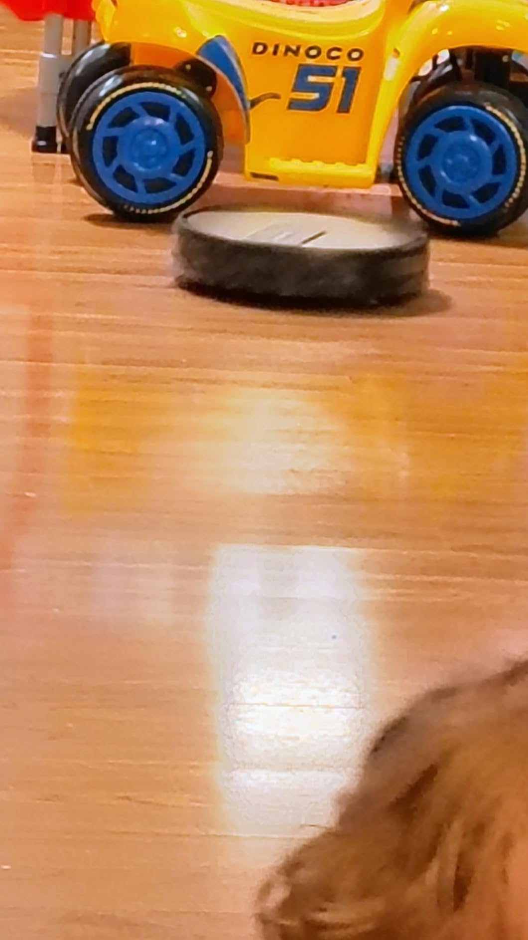 ROPVACNIC Robot Vacuum Cleaner Robot Vacuum and Mop Combo with 5200Pa Suction, Personalized Cleaning Adjustments, Self-Charging Robotic Vacuum Cleaner, Advanced Obstacle Avoidance customer photo 1