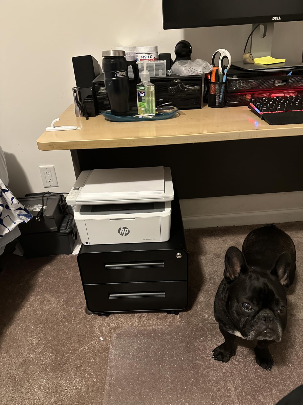 HP Laserjet MFP M140w Wireless Black & White Printer, Print, Scan, Copy, Fast Speeds, Easy Setup customer photo 2