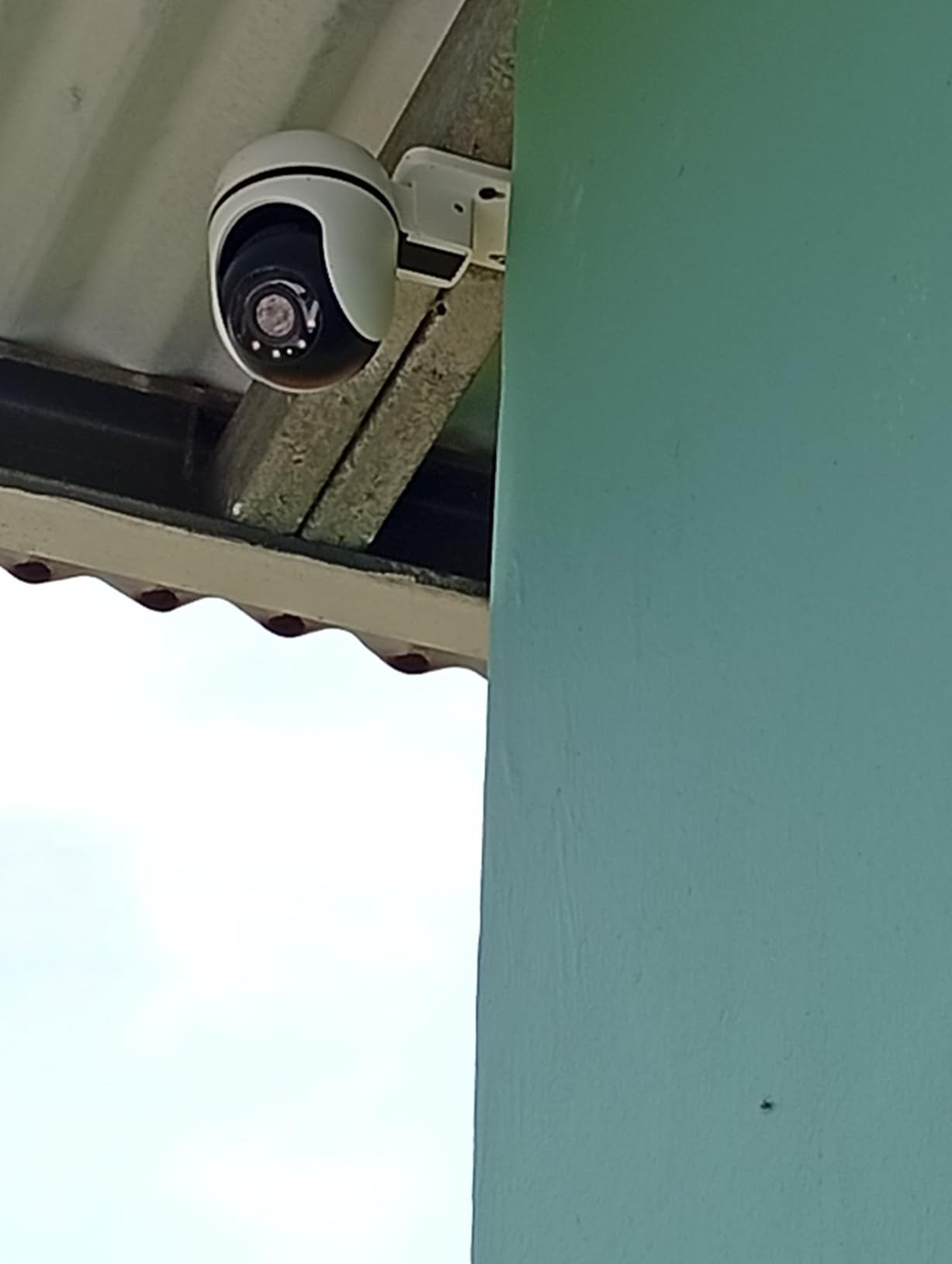 Tapo 1080P Outdoor Wired Pan/Tilt Security Wi-Fi Camera, 360 Degree View, Motion Tracking, Works with Alexa & Google Home, Night Vision, Free AI Detection, Cloud & SD Card Storage (up to 512GB), Tapo C500 customer photo 1