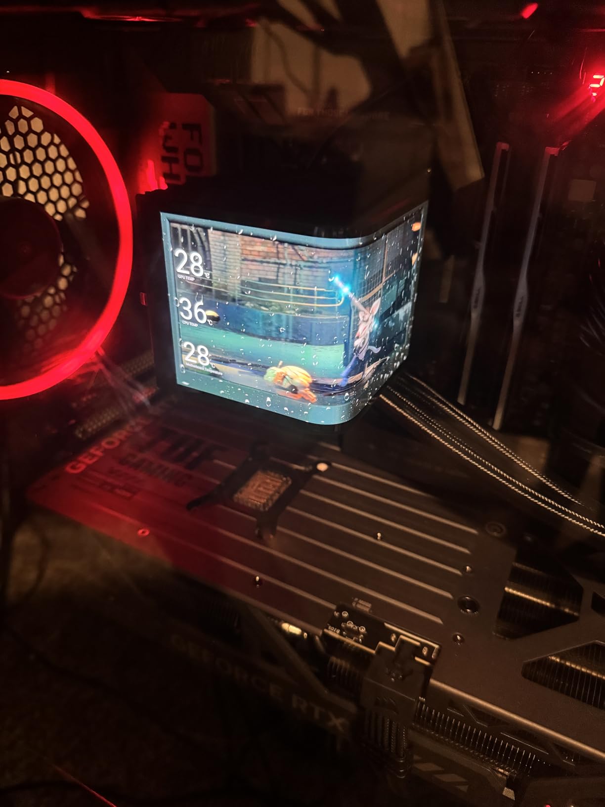 ASUS TUF Gaming GeForce RTX 5080 16GB GDDR7 OC Edition Graphics Card customer photo 2