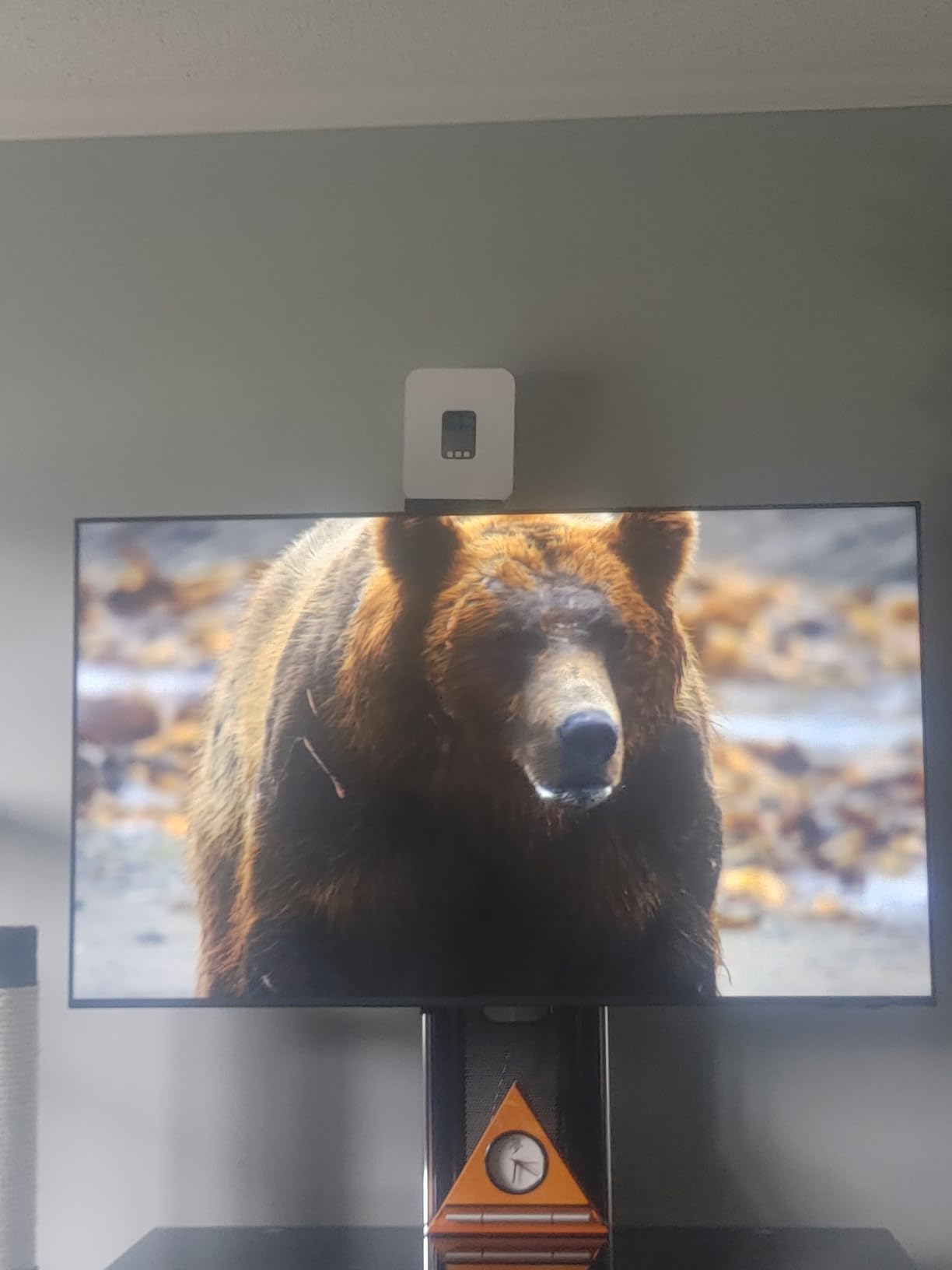 Samsung 65-Inch Class Crystal UHD U8000F 4K Smart TV (2025 Model) Endless Free Content, Crystal Processor 4K, MetalStream Design, Knox Security, Alexa Built-in customer photo 2