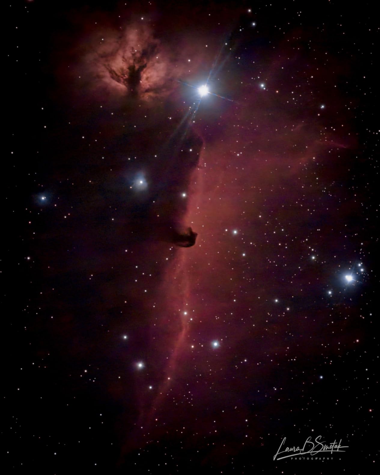 DWARFLAB Dwarf 3 Smart Telescope - Portable Astrophotography Camera, Capture Astronomy/Wildlife/Panorama, AZ/EQ Mode, Built-in Processing, 4K Auto-Tracking, Ultra-Light 3lb, Ideal for All Ages customer photo 1