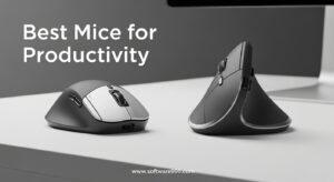 Best Mice for Productivity