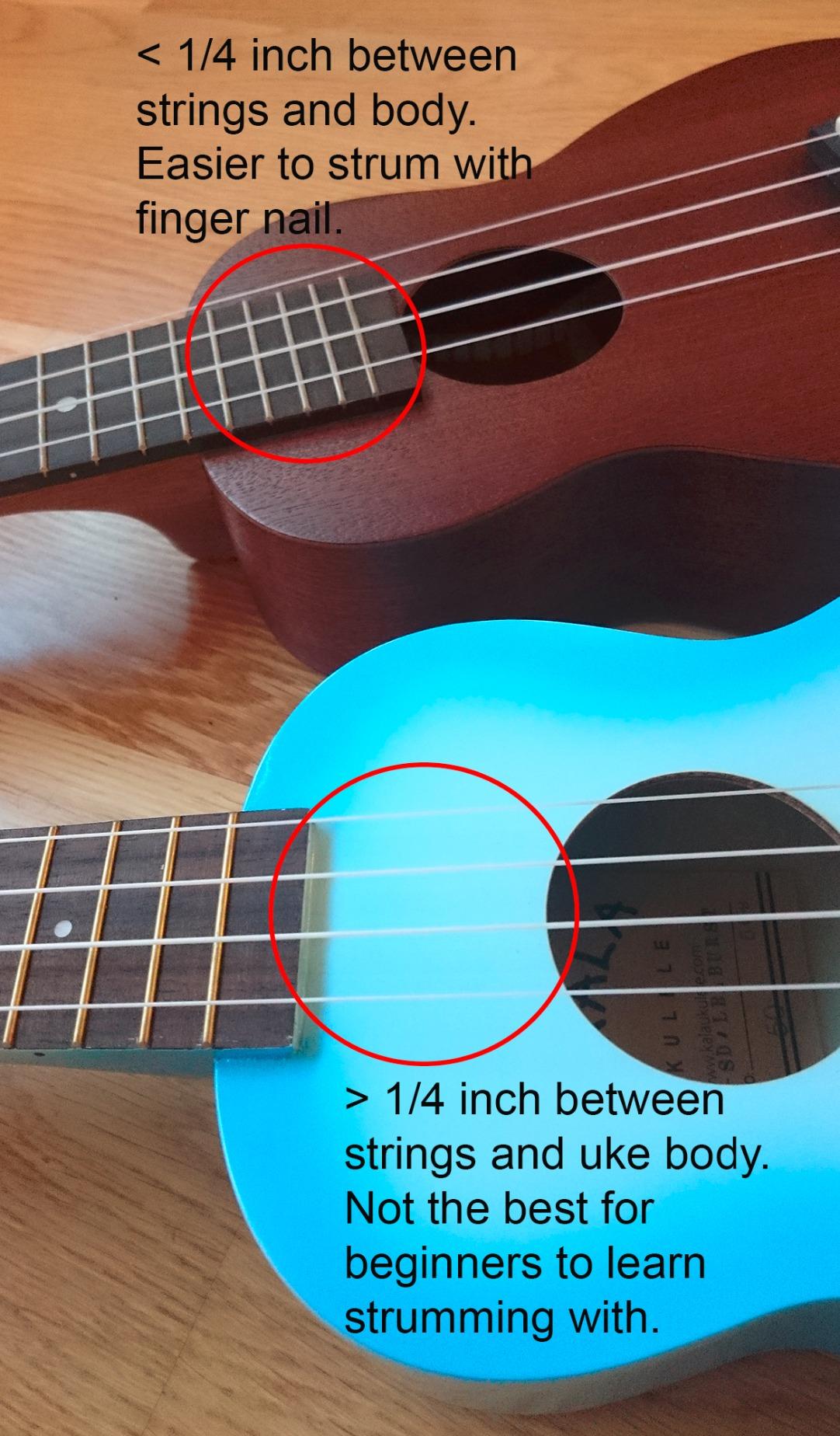 Kala MK-SD-LBBURST Makala Dolphin Soprano Ukulele - Light Blue Burst customer photo 2
