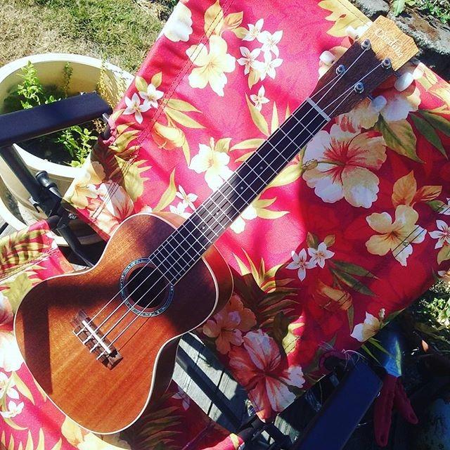 Cordoba 15CM Concert Ukulele - Hand Crafted With Mahogany Top, Back & Sides, Authentic Abalone Rosette & Satin Finish & Premium Italian Aquila Strings - For Beginners & Professionals customer photo 2