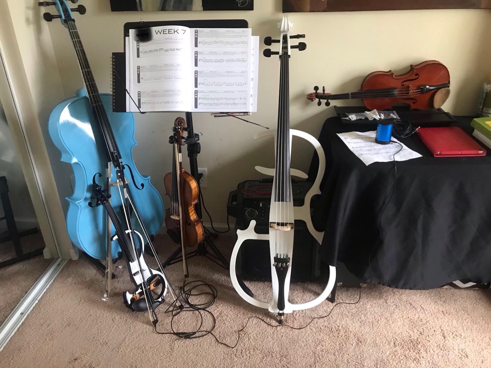 Cecilio 4/4 Electric Cello with Ebony Fittings, Professional Silent Electric Cello Kit with Bow, Rosin, Aux Cable and Headphone, Musical Instrument for Beginners, Pearl White customer photo 1