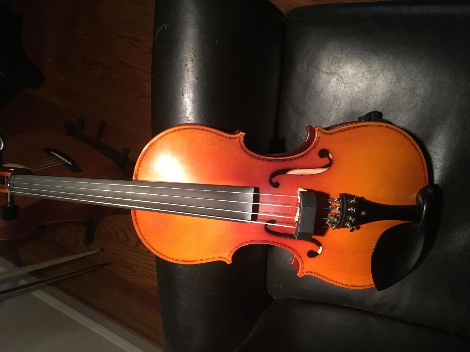 Cecilio Solid Wood Viola 15.5 Inch Viola Full Size, Professional Handcrafted Acoustic Viola with Ebony Fittings, Antique Satin Finish customer photo 1