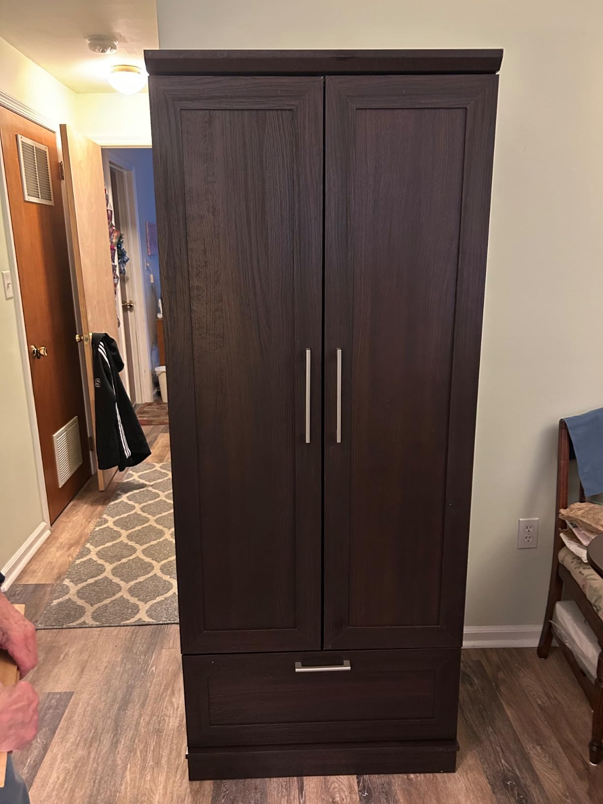 Sauder 411802 HomePlus Wardrobe/Storage Cabinet, L: 28.98