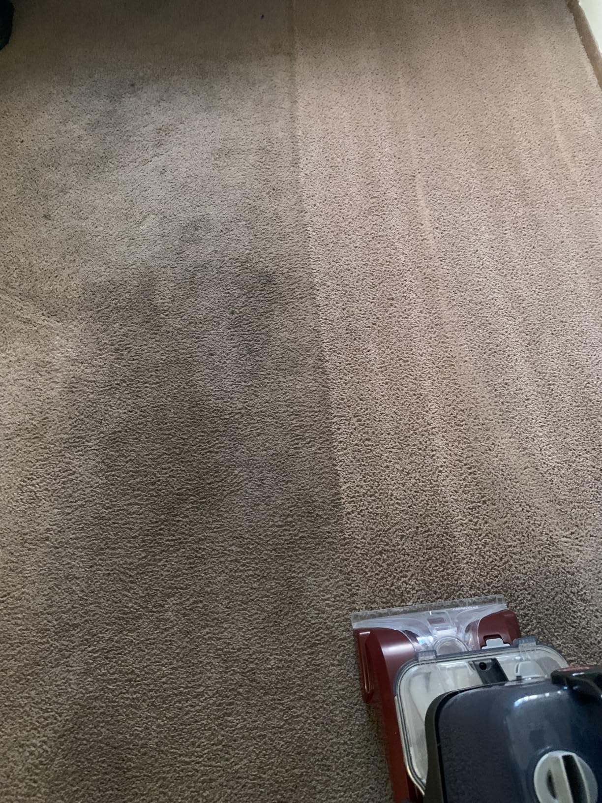 Hoover PowerScrub Deluxe Carpet Cleaner Machine, Deep Cleaning Carpet Shampooer Machine, SpinScrub Brushes, HeatForce Drying, Pet & Upholstery Tools customer photo 2