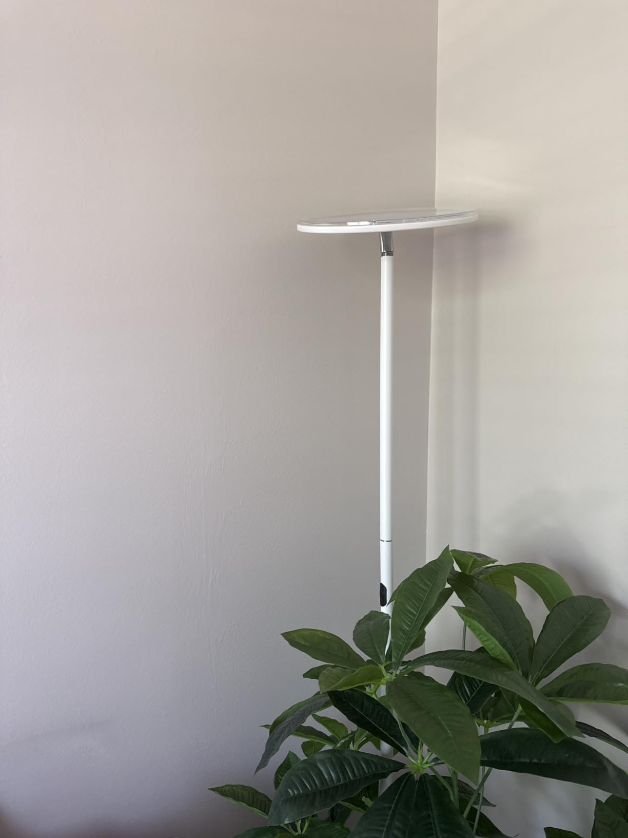 Brightech Sky LED Floor lamp, Torchiere Super Bright Floor Lamp for Living Room Decor & Office - Dimmable, Tall Standing Torch Lamp with Warm Light for Bedroom & Reading - Black customer photo 1