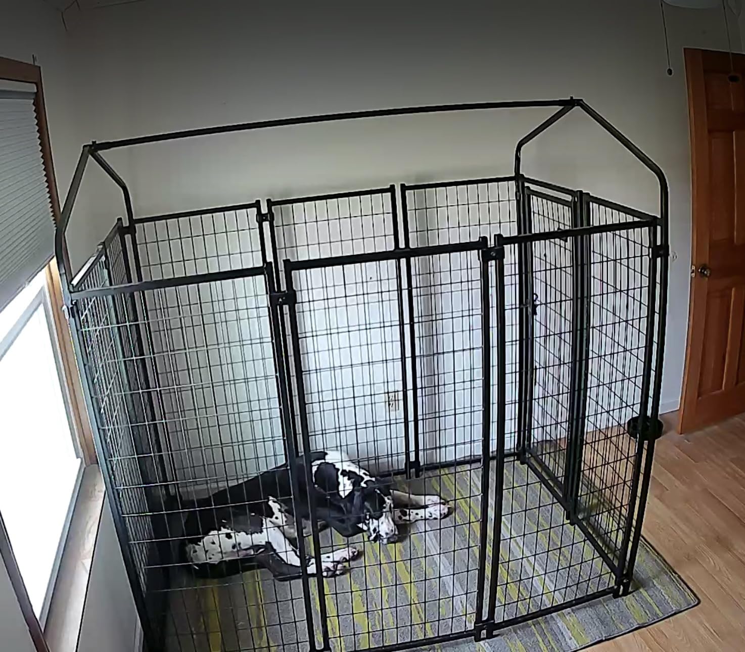 PawHut Outdoor Dog Kennel with Roof, 4' x 4' x 6' Heavy Duty Welded Wire Dog Playpen Enclosure with Escape-Proof Lock, UV-Resistant & Waterproof Cover, for Medium Dogs, Chickens, Ducks, Silver customer photo 2