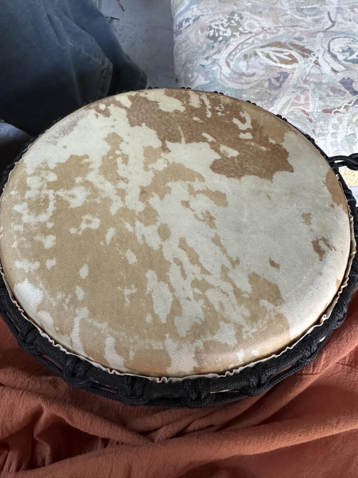 Terre Percussion Djembe Standard line carve Handmade Drum Circle Instrument, 20