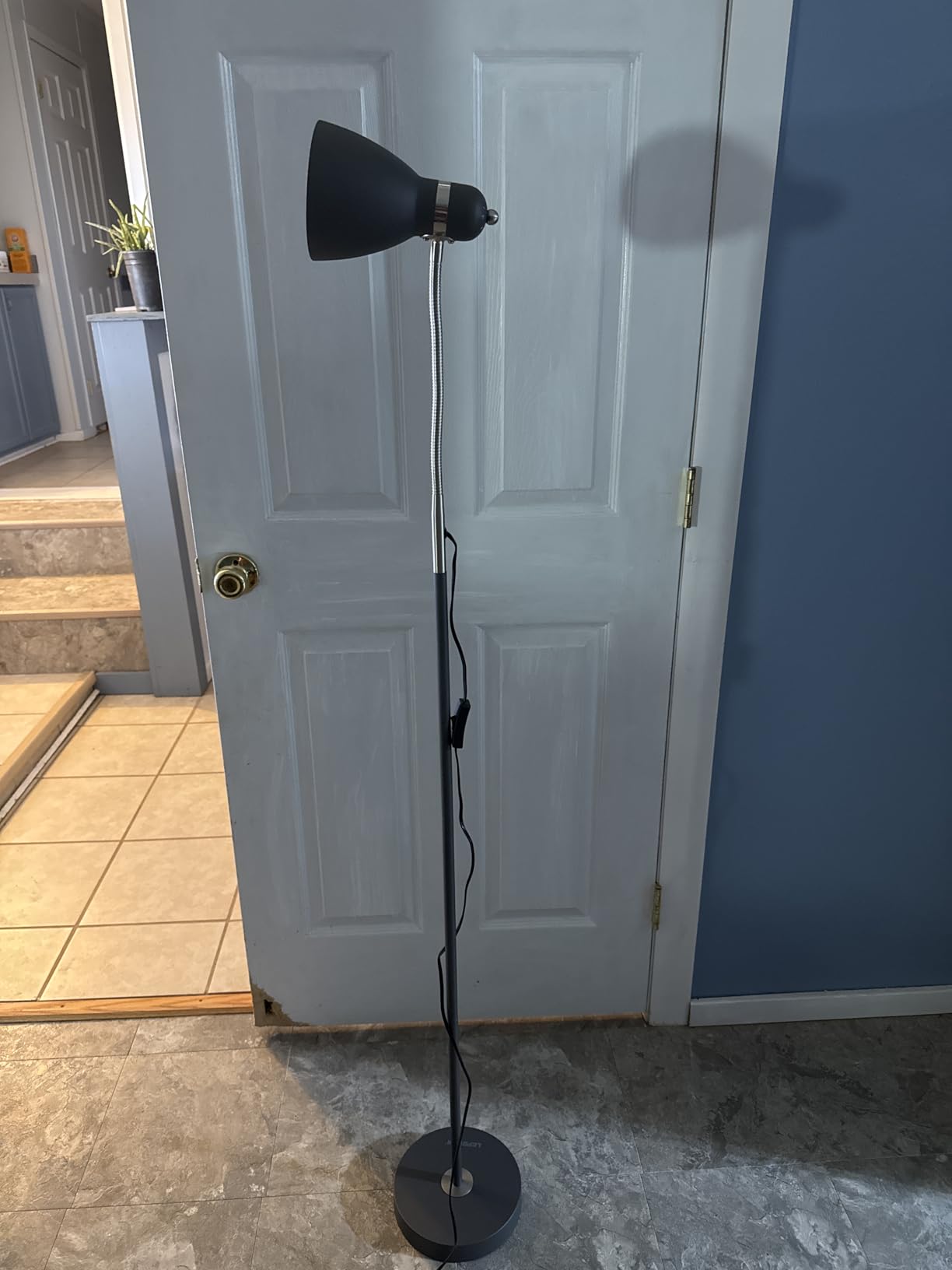 LEPOWER Floor Lamp, Metal Standing Lamp with Adjustable Gooseneck for Dorm | Easy to Assemble, E26 Base, Sturdy Metal Base, Convenient Switch, Task Reading Pole Lights for Office & Bedroom, Living Room customer photo 1