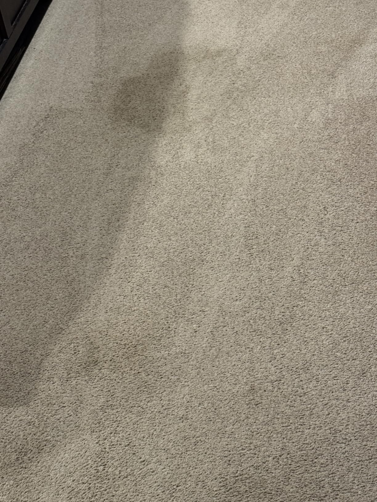 Hoover PowerDash Pet Compact Carpet Cleaner Machine, Lightweight Design, HeatForce Fast Drying, Antimicrobial Brush Roll customer photo 1