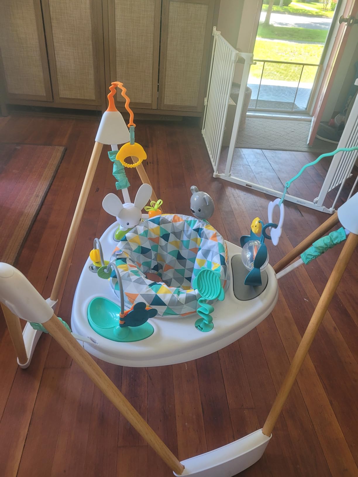 Evenflo Exersaucer Wood Frame Jumper, Woodland Wonder customer photo 1