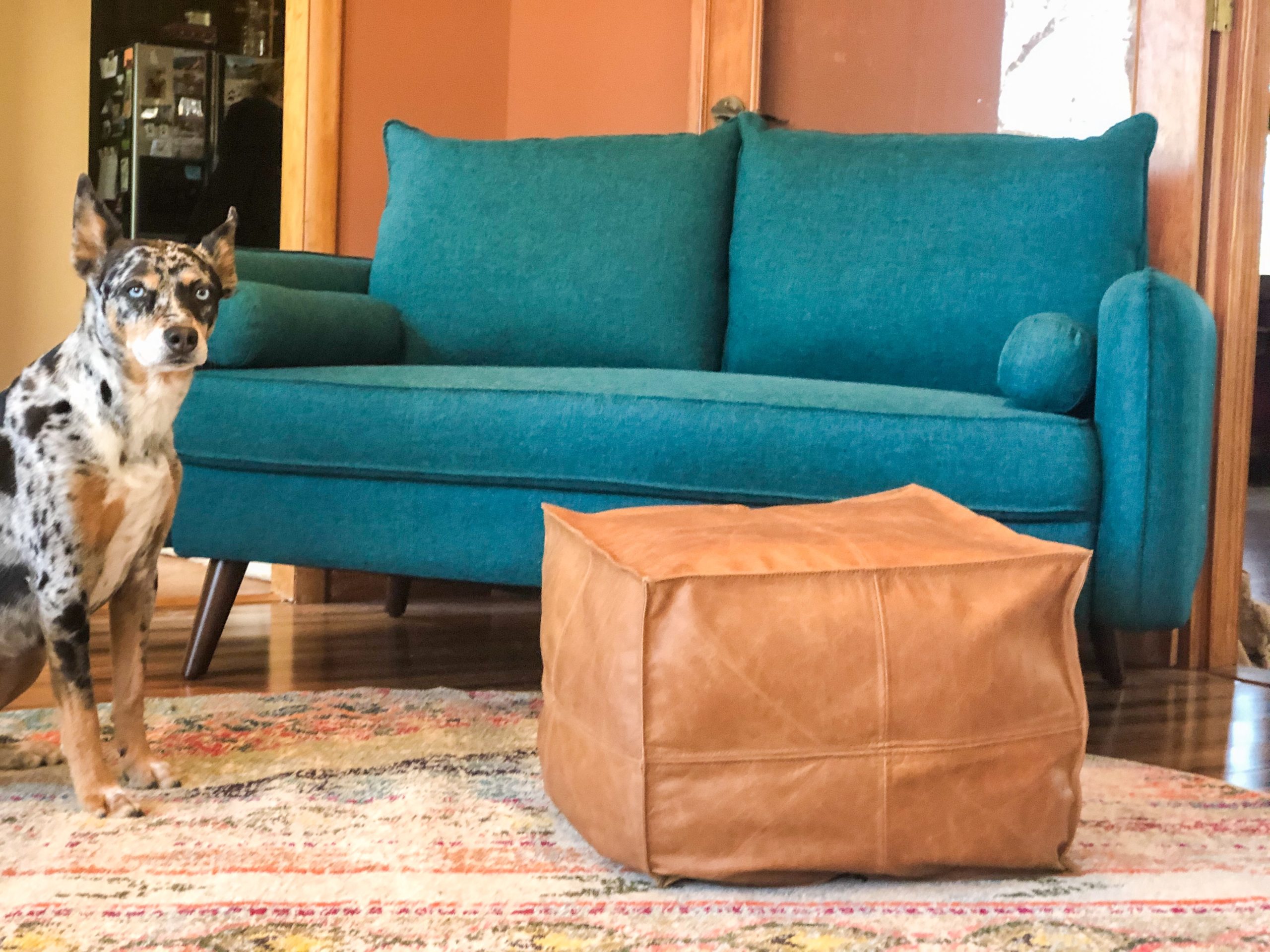 Modway Revive Contemporary Modern Fabric Upholstered Sofa In Teal customer photo 2