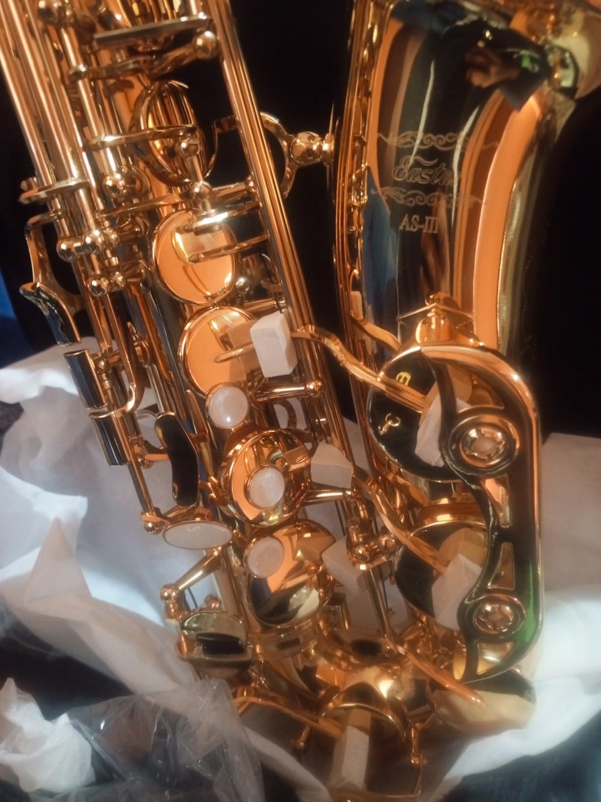 Eastar Alto Saxophone Beginner Student Eb Sax, Golden Full Kit, AS-II customer photo 2
