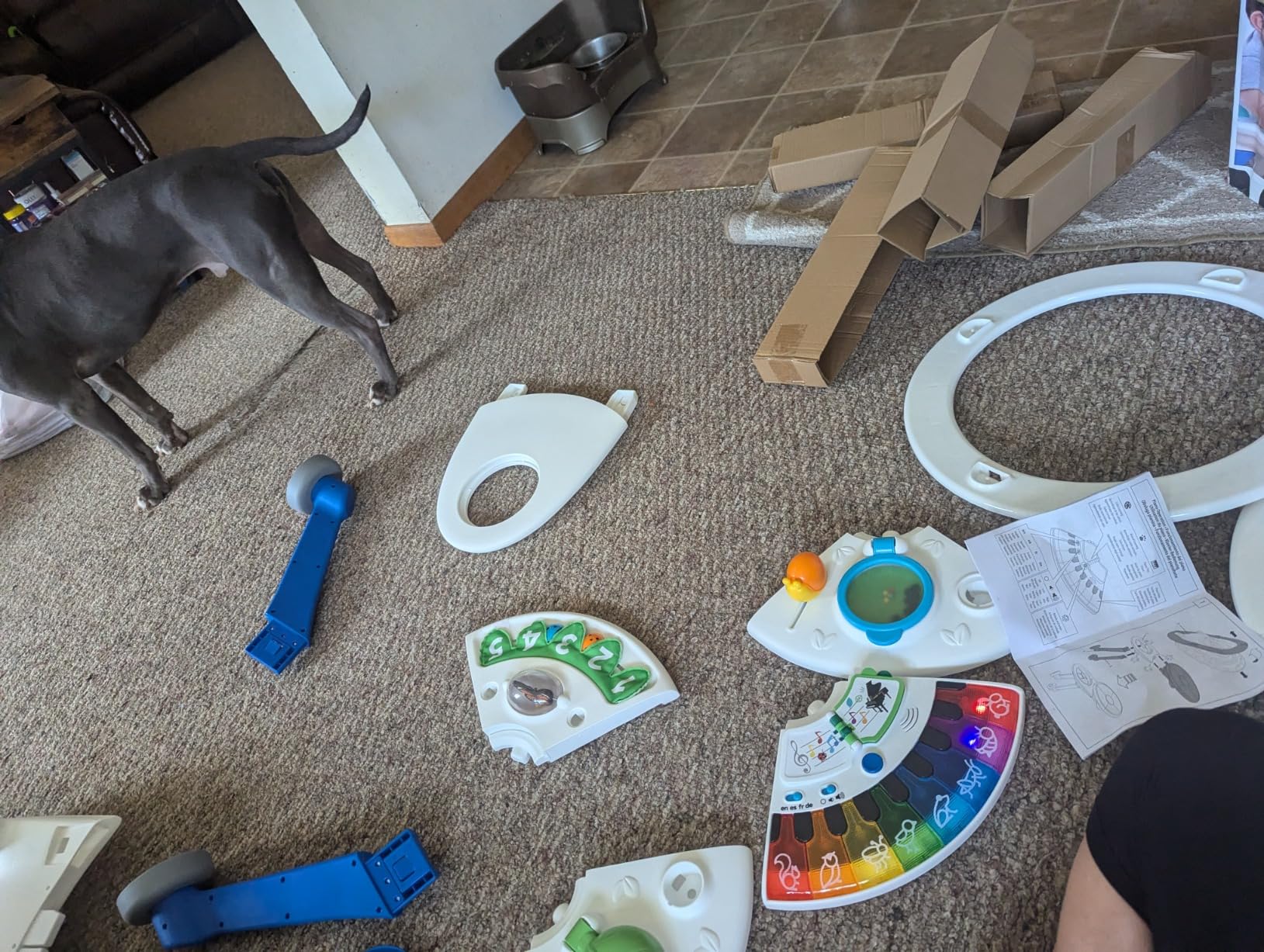Baby Einstein 4-in-1 Activity Center & Walker with Piano, Age 6M+ customer photo 1