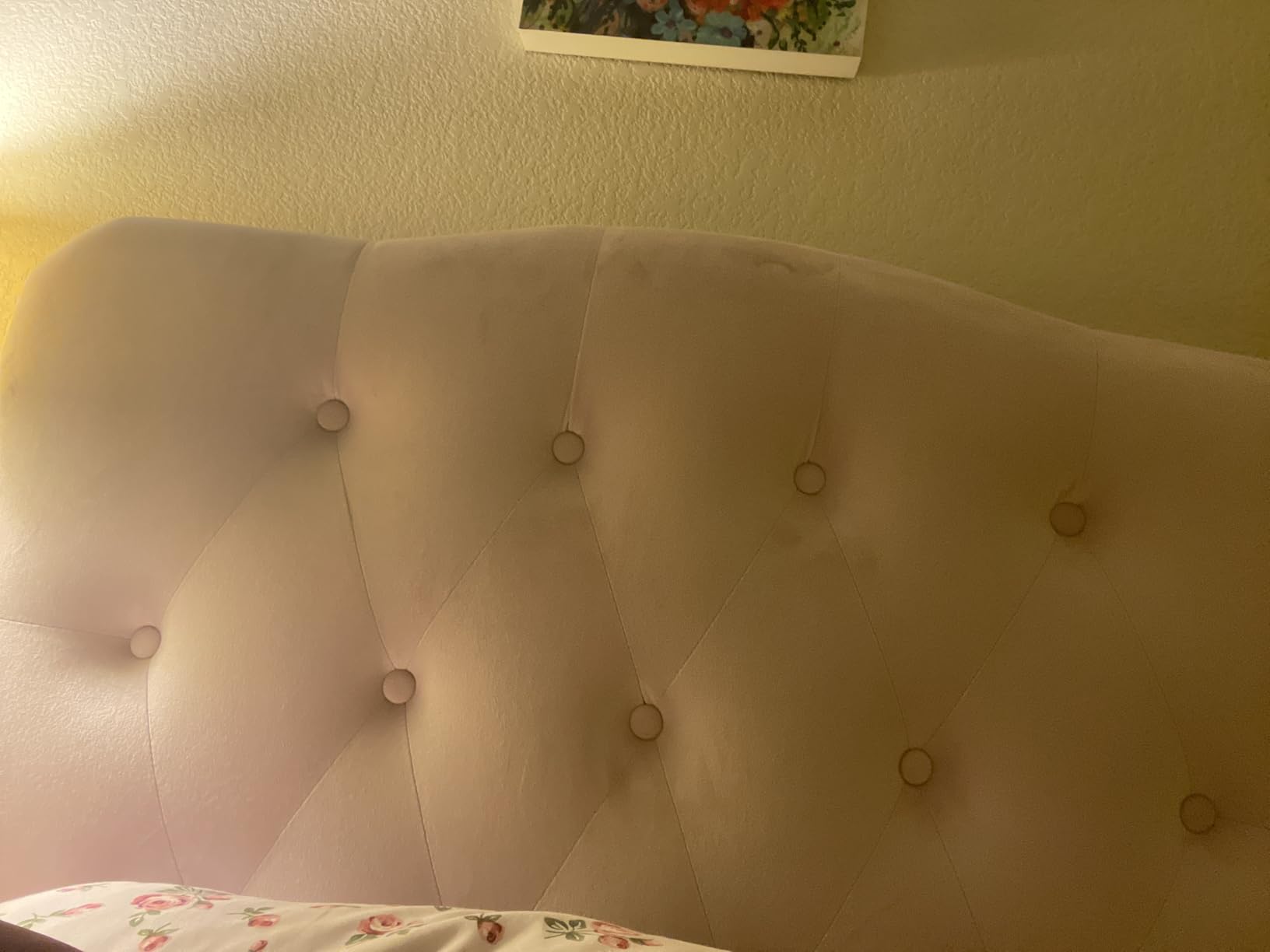 Modway Annabel Diamond Tufted Performance Velvet Queen Headboard in Light Blue customer photo 2