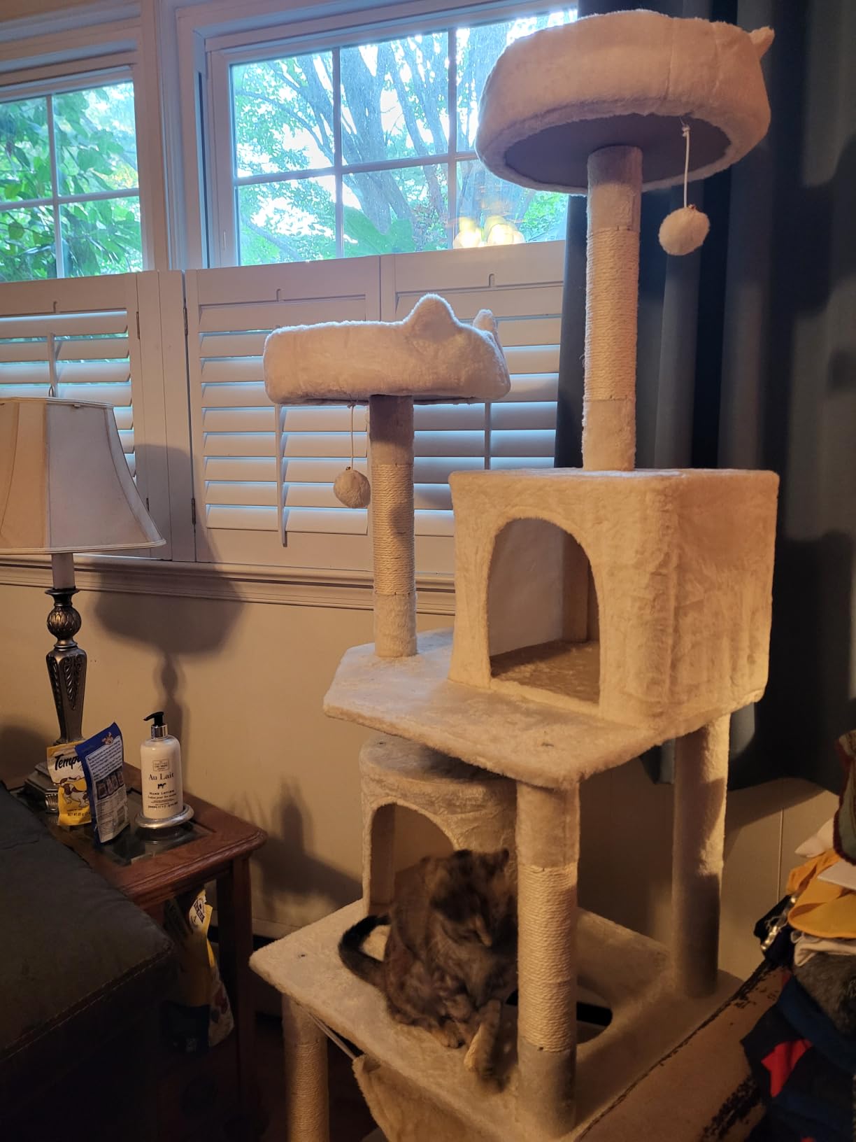 Yaheetech Cat Tree, 62.5in Multi-Level Cat Tower with 2 Cat-Ear Shaped Perches, 2 Cozy Condos, Scratching Posts & Hammock, Sturdy Indoor Activity Center for Multiple Cats, Dark Gray customer photo 2