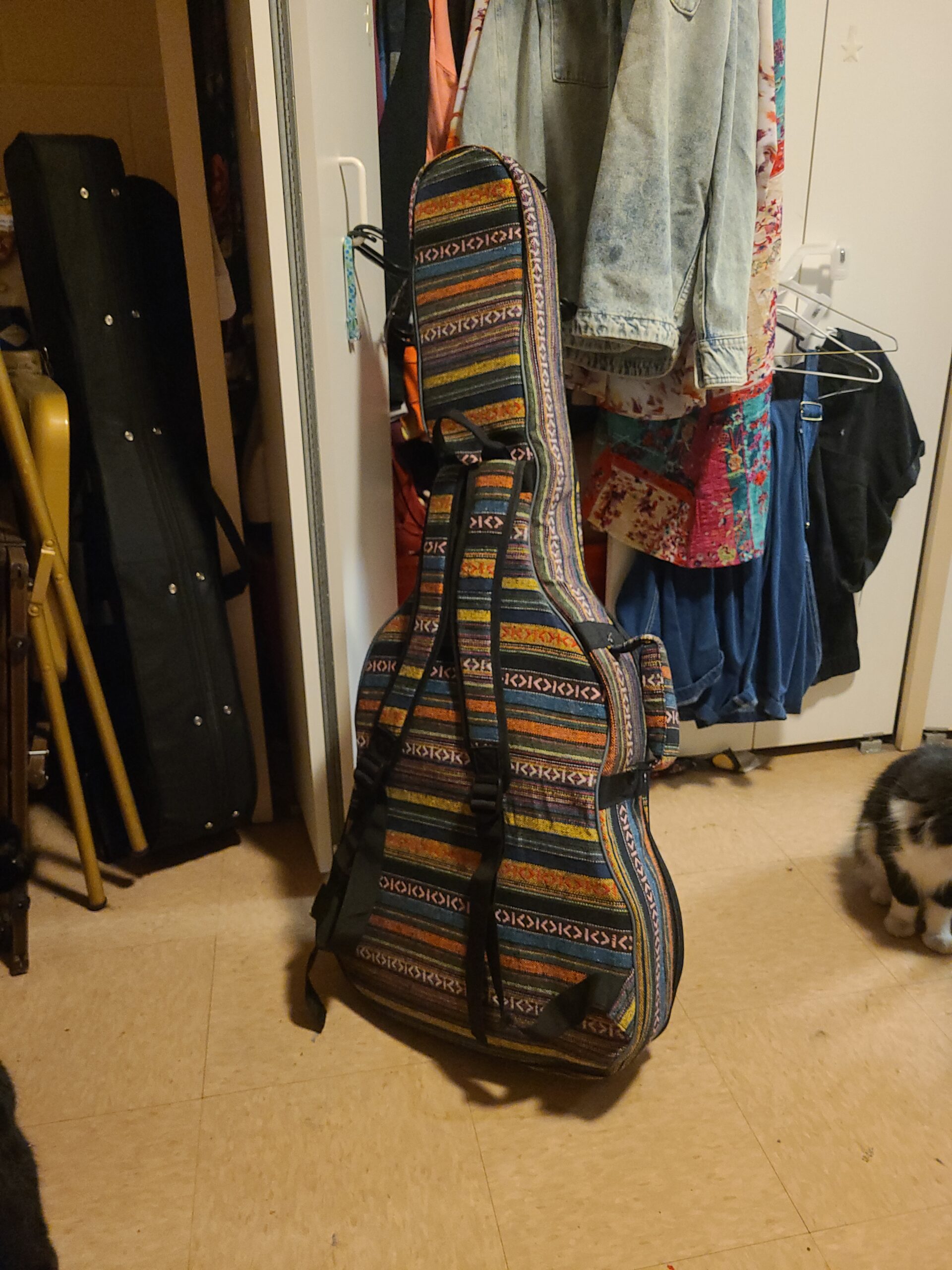 CAHAYA Acoustic Guitar Bag with Neck Cradle Bohemian Vintage Guitar Case 0.65in Thick Sponge Padded customer photo 1