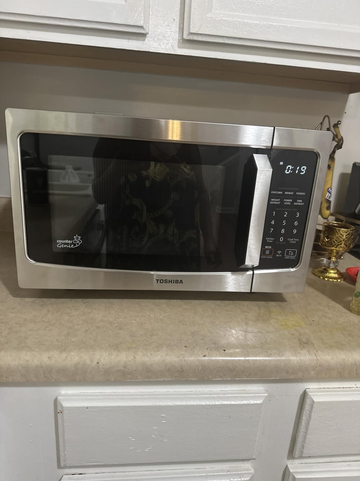 TOSHIBA ML-EM45P(BS) Countertop Microwave Oven with Smart Sensor and 13.6