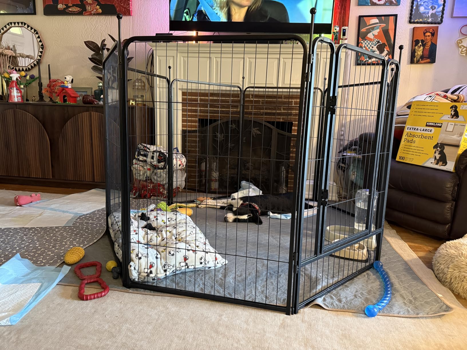 FXW Rollick Unleashed Dog Playpen for Indoor, Yard, RV Camping, 32 inch 8 Panels for Small and Medium Dogs customer photo 1