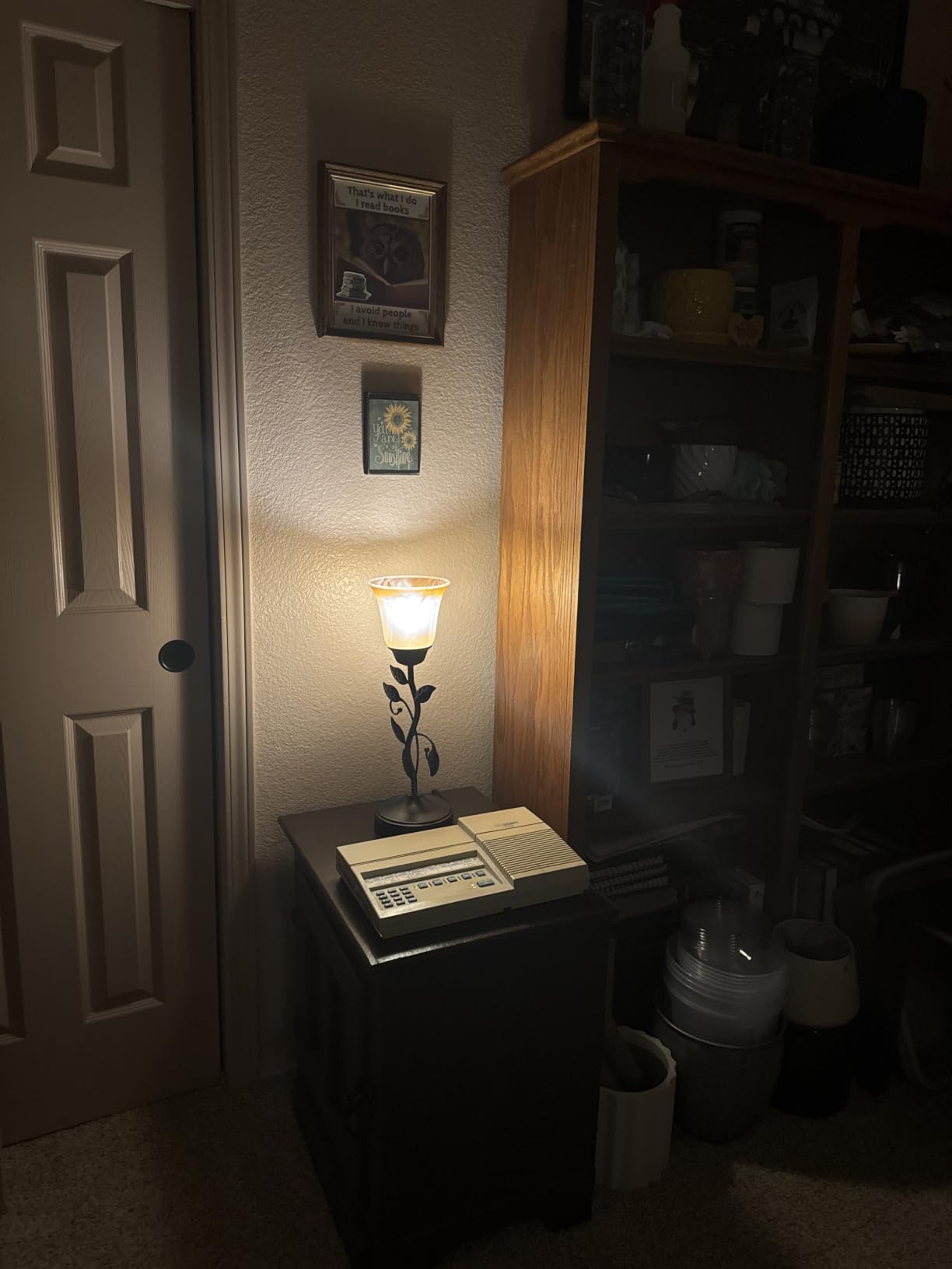 Touch Control Leaf Vintage Table Lamp with 3-Way Dimmable 2 USB C+A Ports | Bedside Nightstand Lamps, Amber Glass Shade Rural Leaf Lamp for Living Room Bedroom Dresser Home Decor, LED Bulb Included customer photo 1