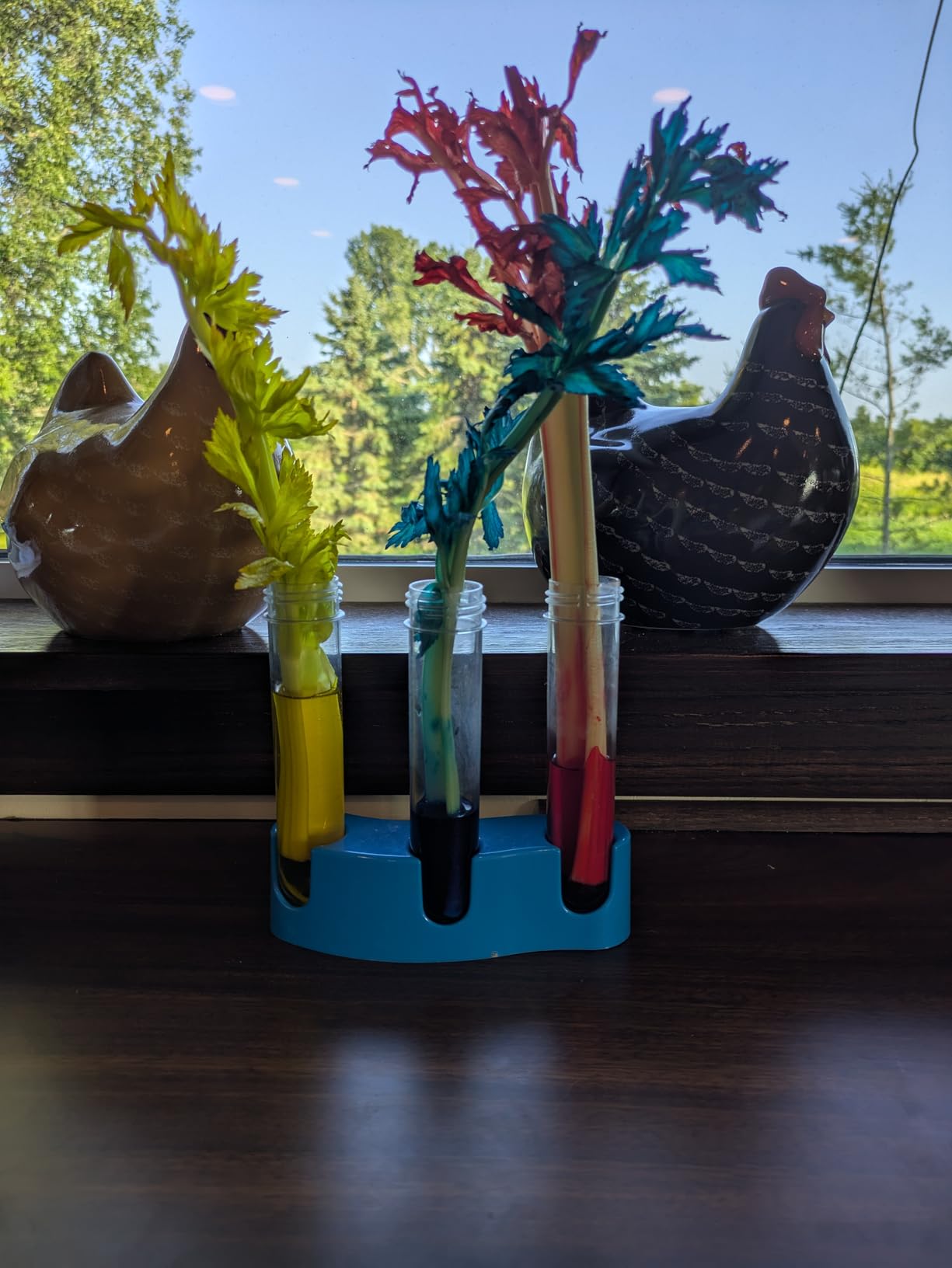 National Geographic Amazing Chemistry Set with 100+ Experiments Ages 8-12 | Crystal Growing, Chemical Reactions, STEM Projects customer photo 2