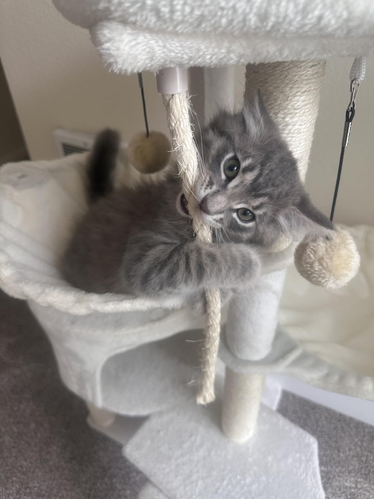Three Layer Cat Tree with Cat Condo Scratch Pad and Two Hammocks, Grey | 3-Tier Cat Tree, Natural Sisal, Replaceable Hanging Balls, Sturdy Cat Furniture for Kitten&Adult Cat customer photo 1