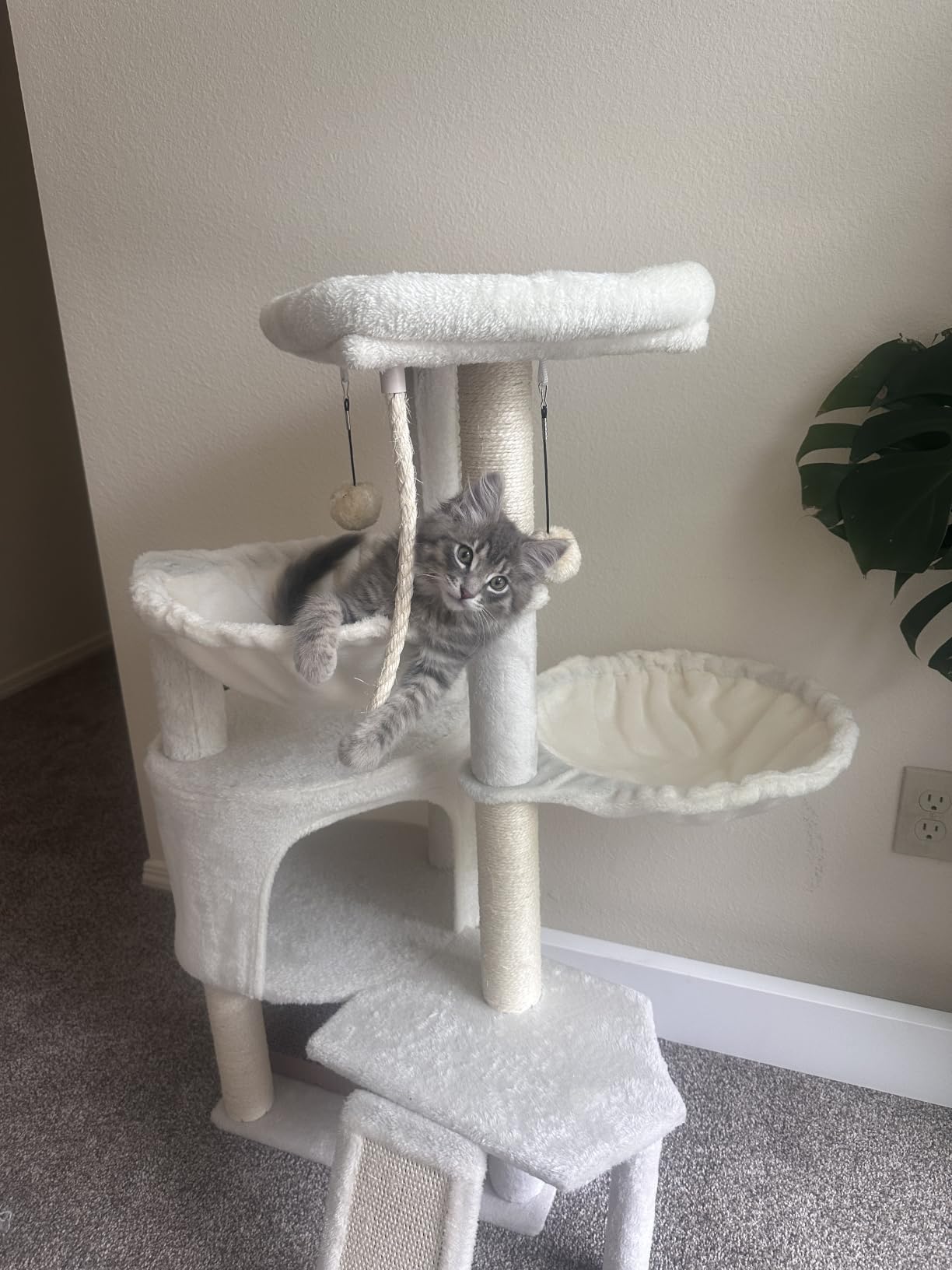 Three Layer Cat Tree with Cat Condo Scratch Pad and Two Hammocks, Grey | 3-Tier Cat Tree, Natural Sisal, Replaceable Hanging Balls, Sturdy Cat Furniture for Kitten&Adult Cat customer photo 2