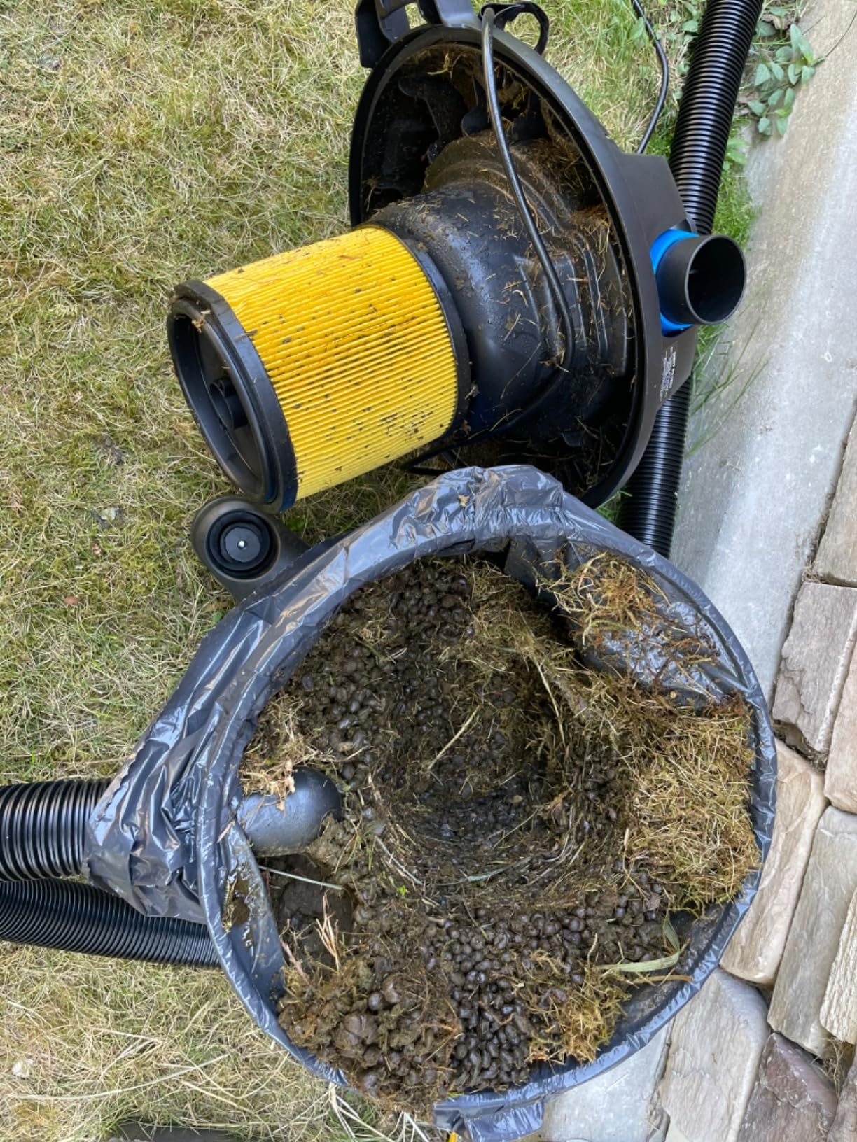 Vacmaster Wet/Dry Vacuum with Detachable Blower 6 Gallon 5 Peak HP - VBVB611PF 1101 customer photo 1