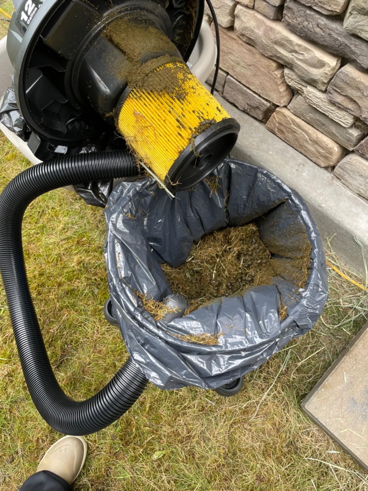 Vacmaster Wet/Dry Vacuum with Detachable Blower 6 Gallon 5 Peak HP - VBVB611PF 1101 customer photo 2
